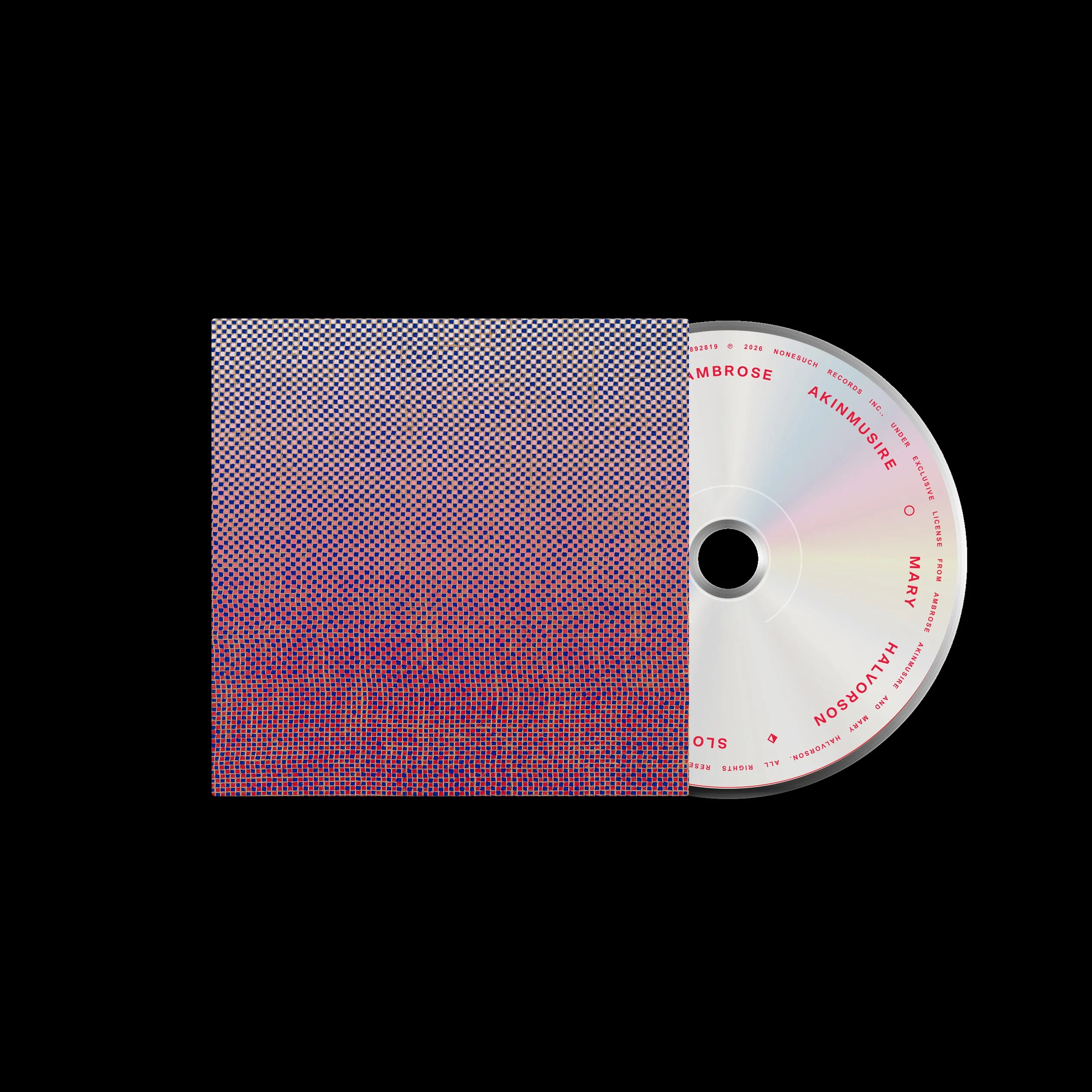 AMBROSE AKINMUSIRE & MARY HALVORSON - SLO-MO Neon Luminate Hoverings - Image 2