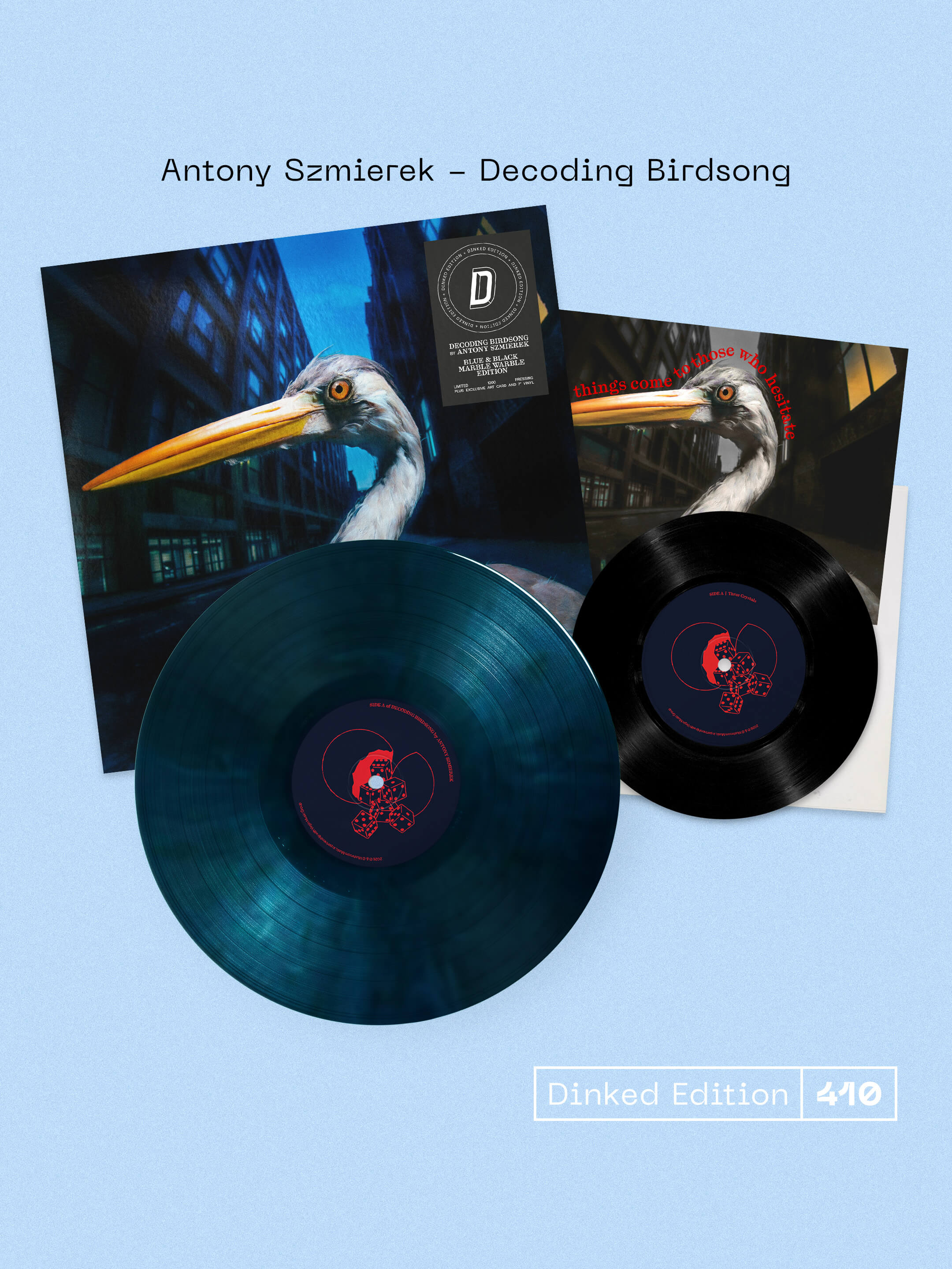 Antony Szmierek - Decoding Birdsong - Image 2