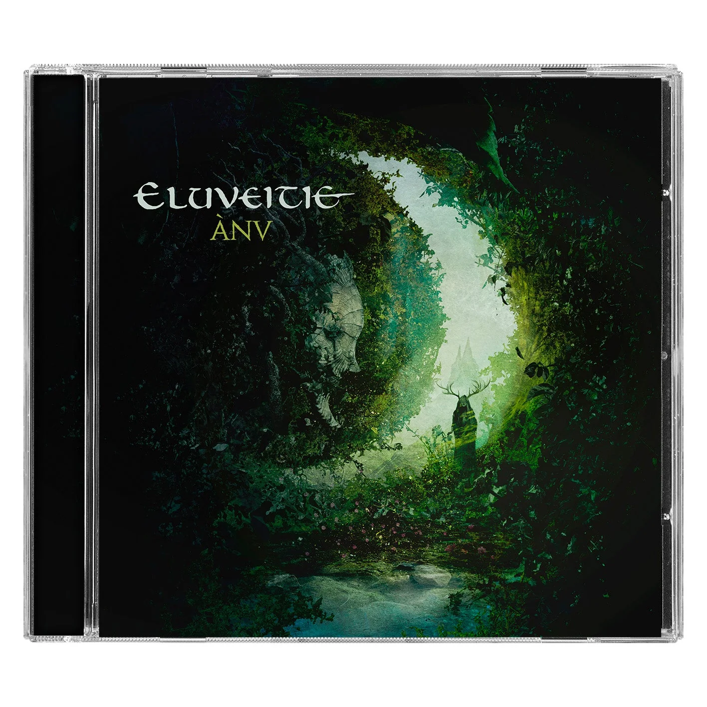 Anv - Image 2