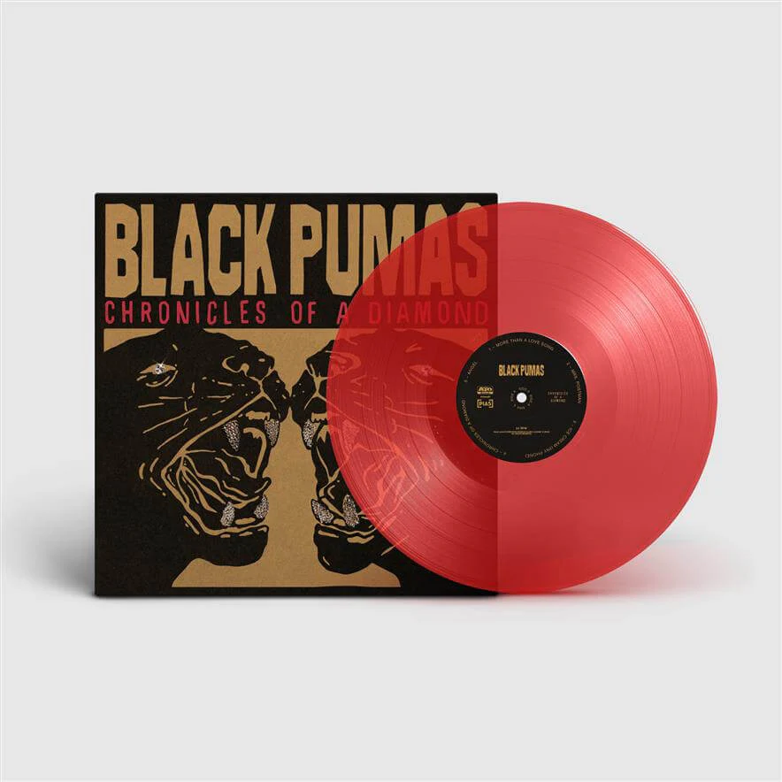 Black Pumas - Chronicles of a Diamond - Image 2