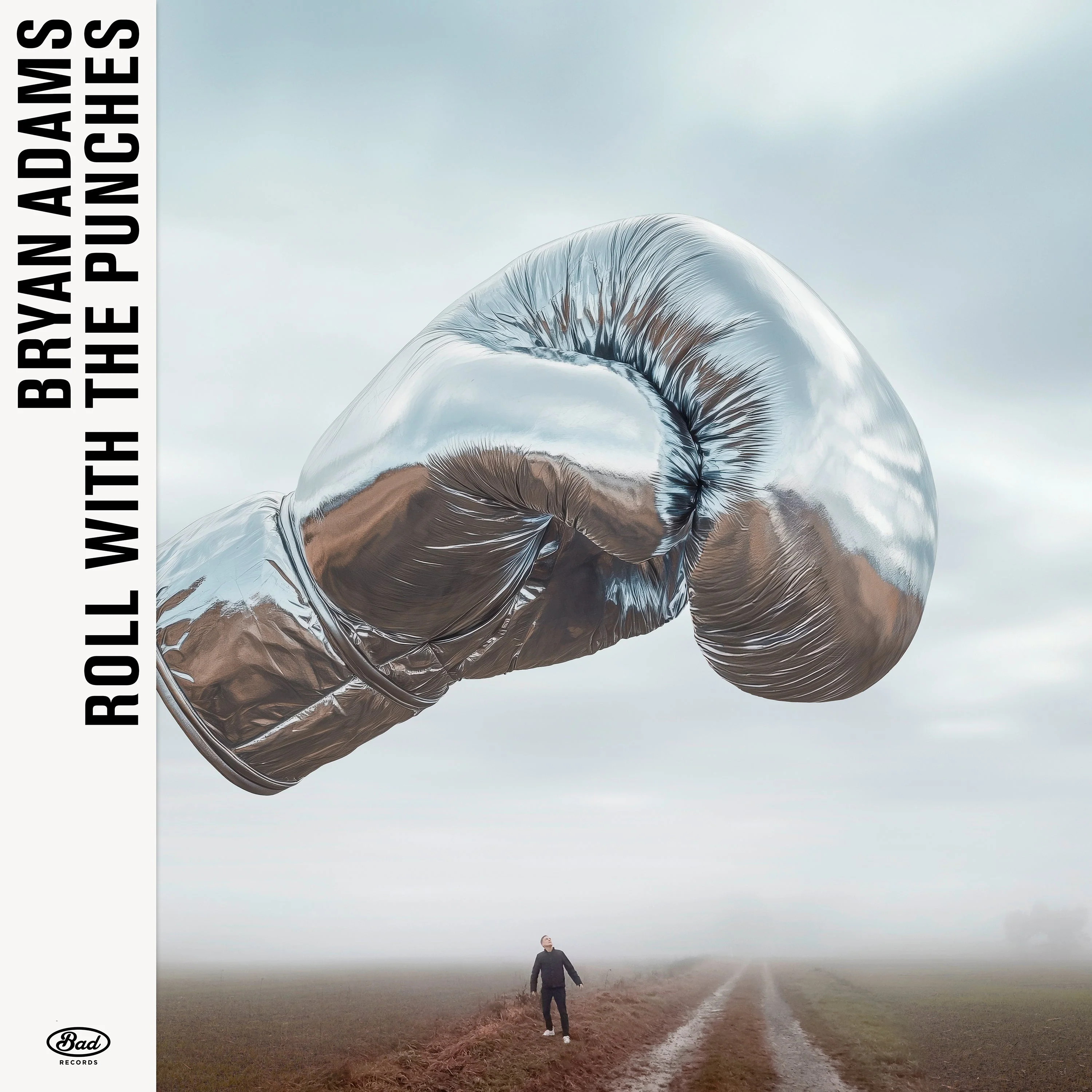 Bryan Adams - Roll With The Punches