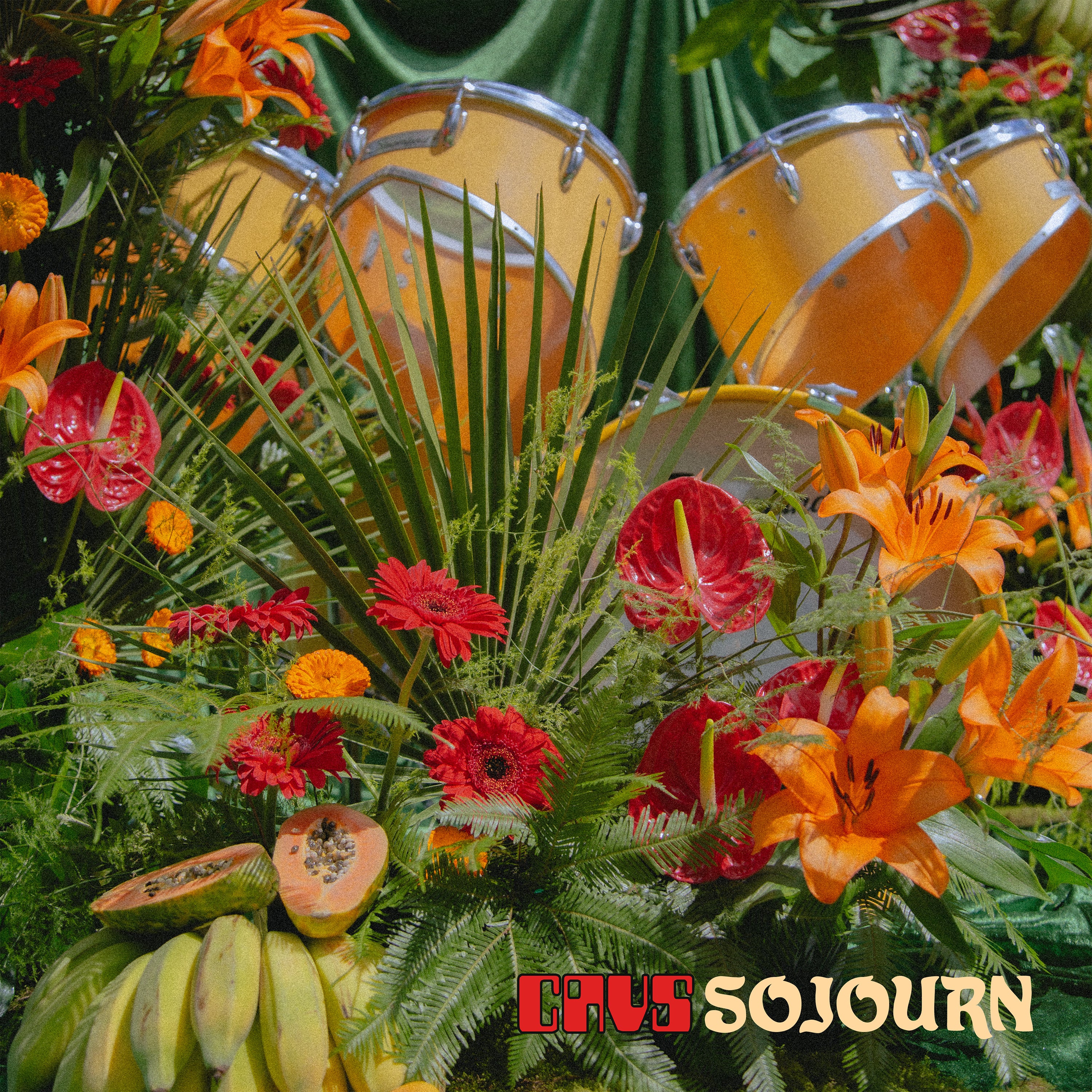 CAVS - Sojourn