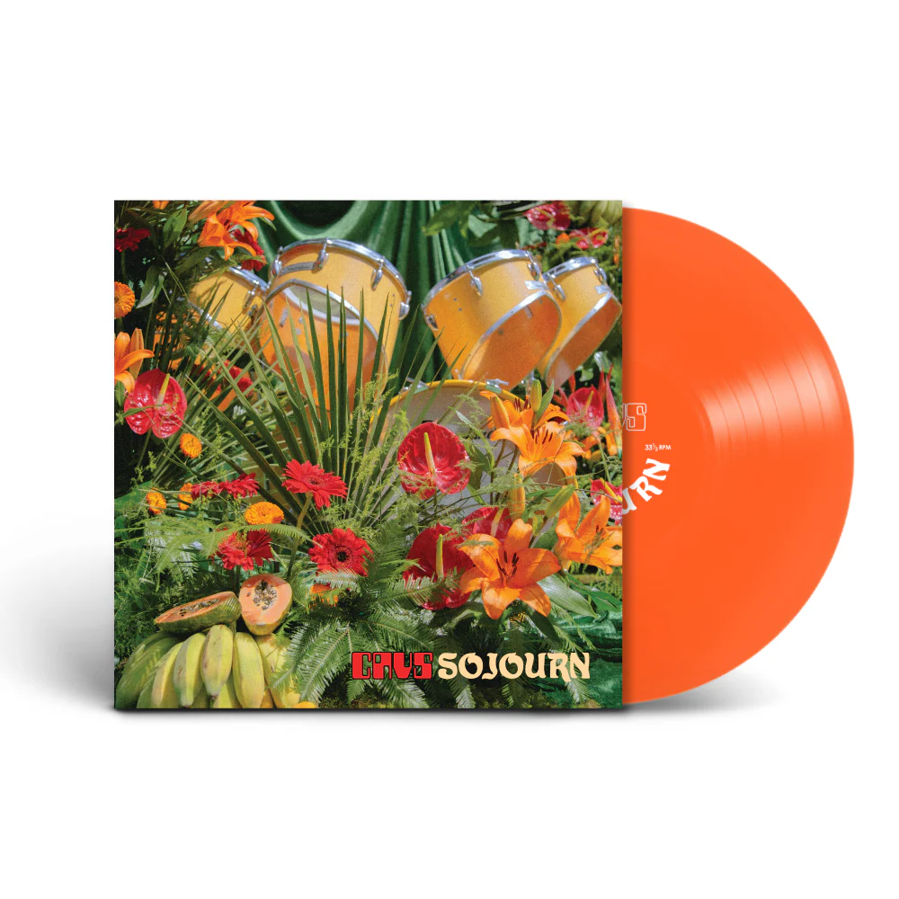 CAVS - Sojourn - Image 2