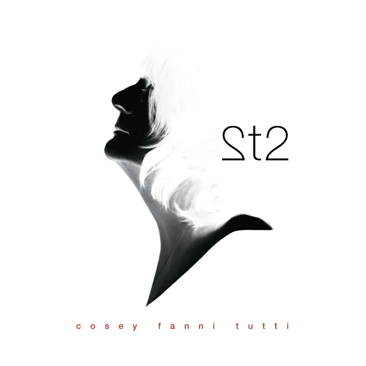 Cosey Fanni Tutti - 2t2
