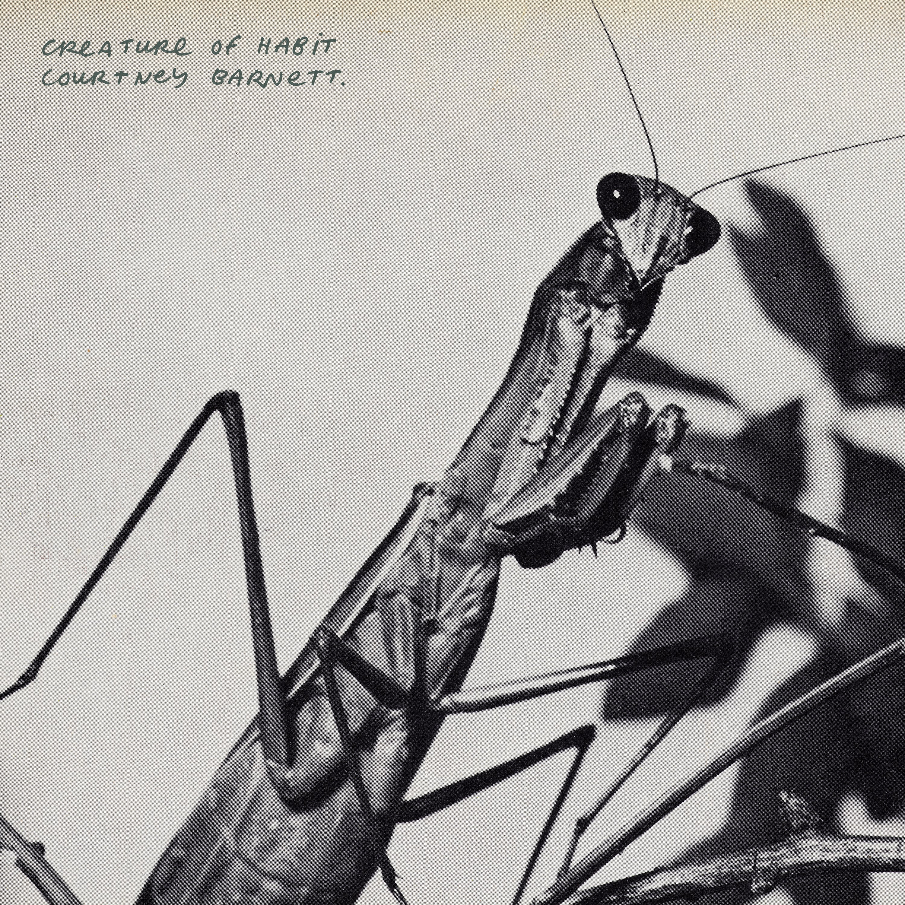 Courtney Barnett - Creature Of Habit