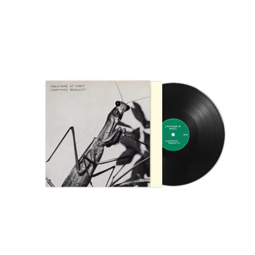 Courtney Barnett - Creature Of Habit - Image 4