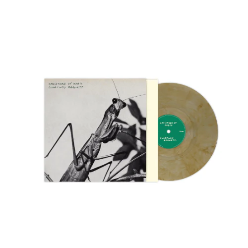 Courtney Barnett - Creature Of Habit - Image 5