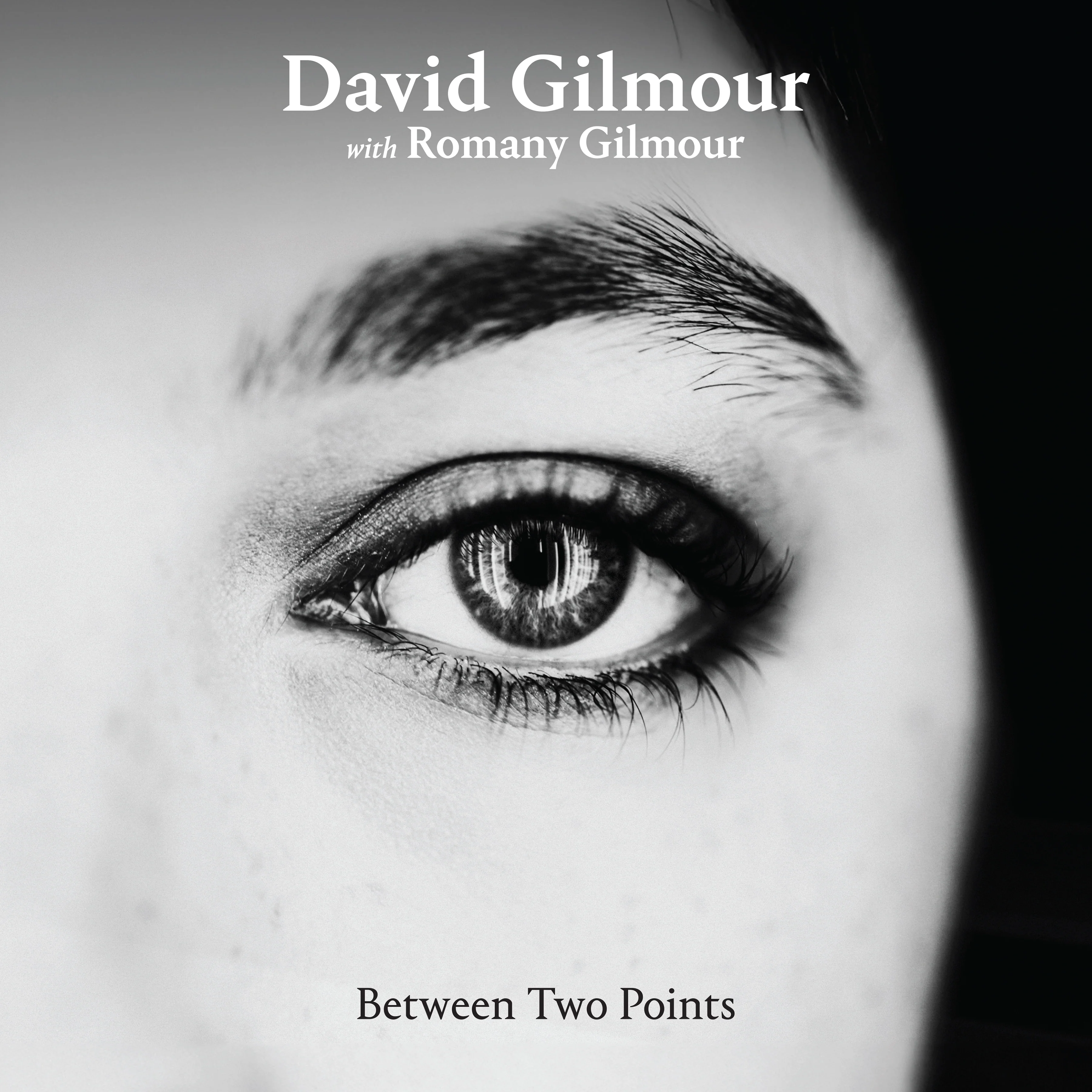 David Gilmour - Between Two Points Remixes - 1Lp - Clear Vinyl  [RSD 2025] - Image 2