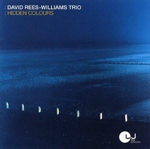 David Rees-Williams Trio - Hidden Colours