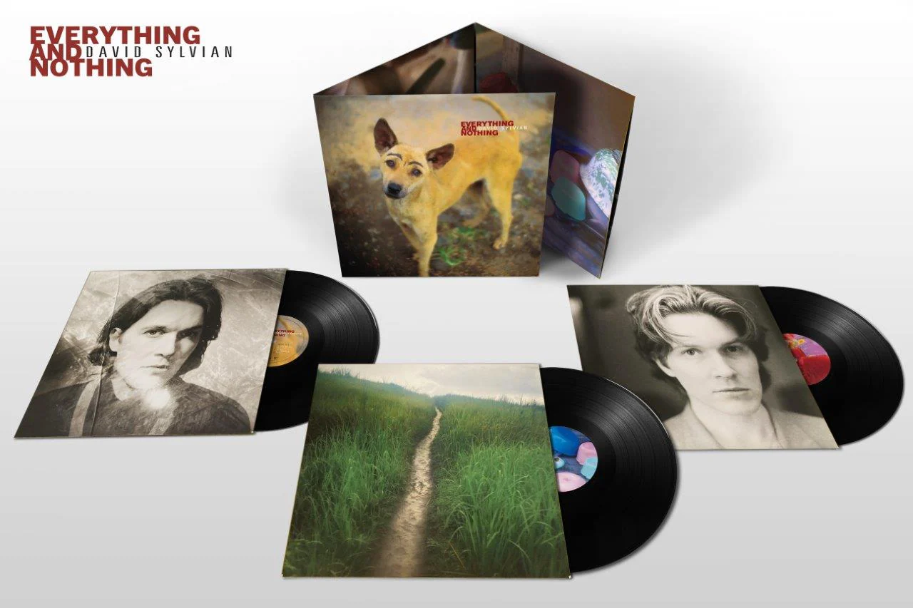 David Sylvian - Everything & Nothing (2024 Reissue) - Image 2