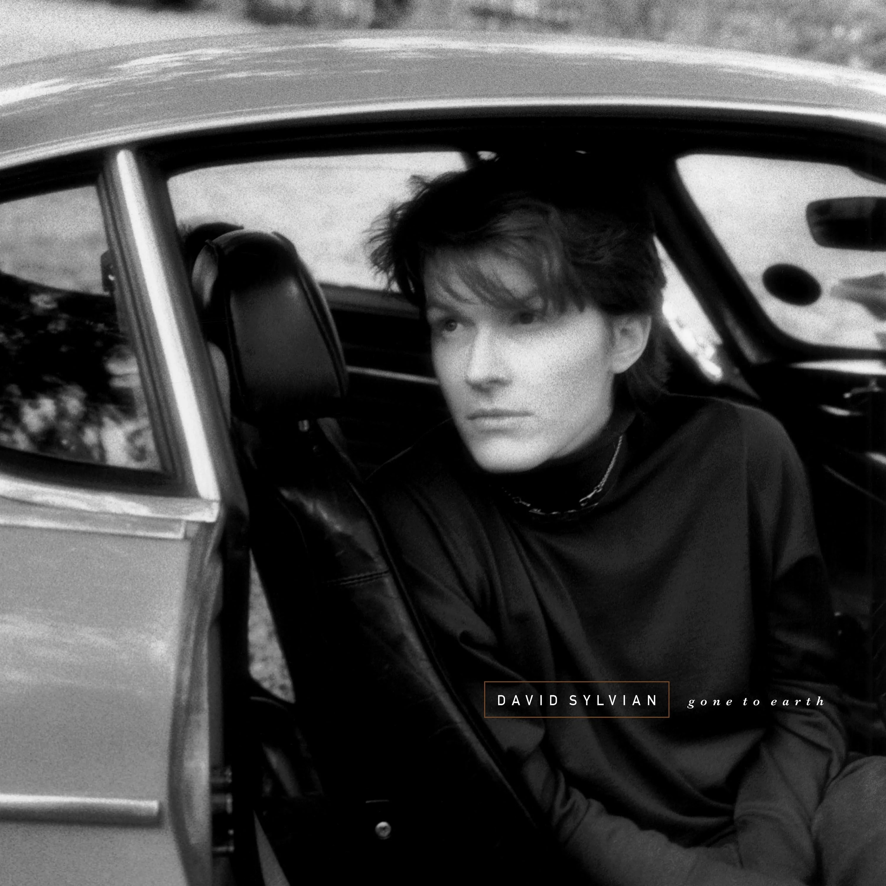 David Sylvian - Gone To Earth (2025 Reissue)