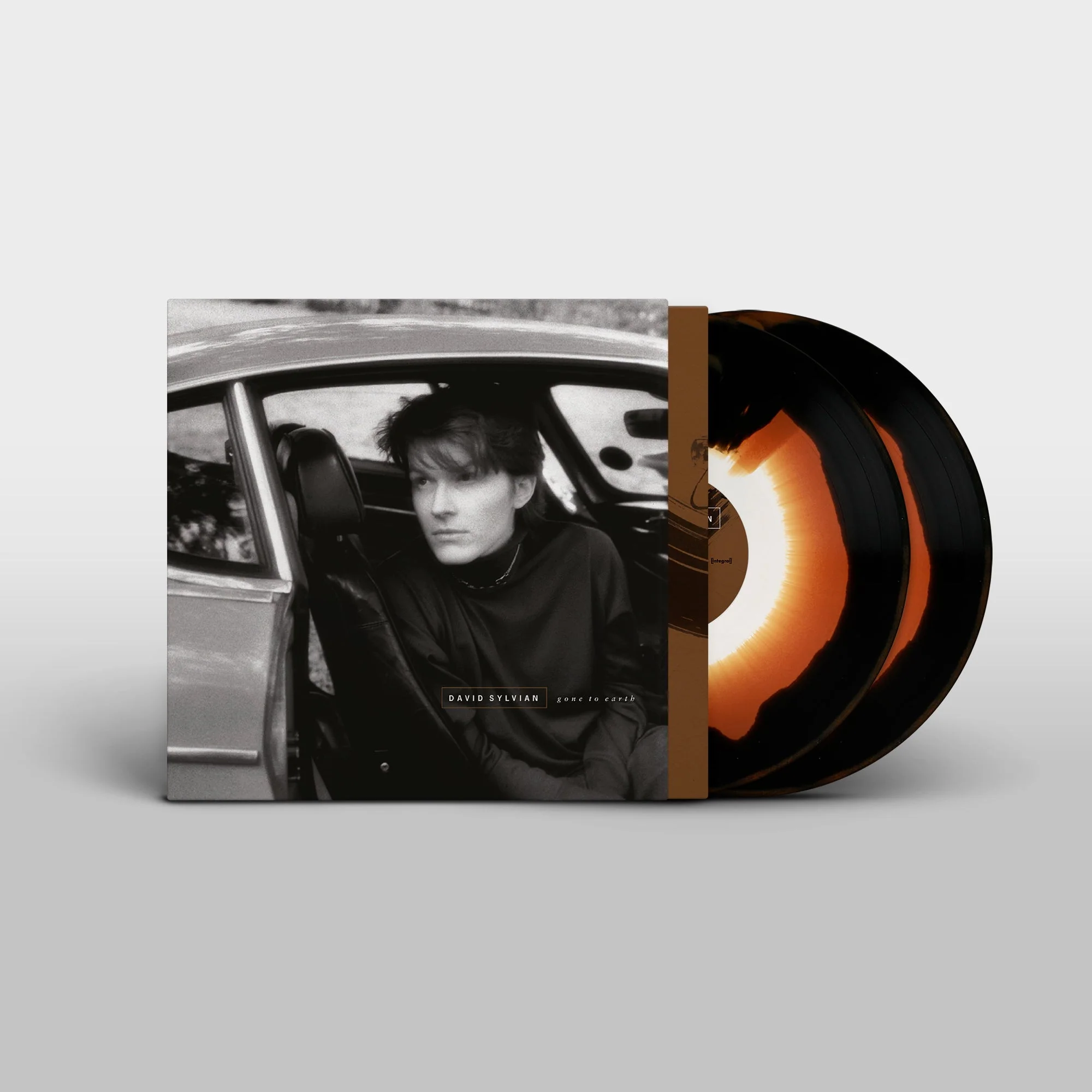 David Sylvian - Gone To Earth (2025 Reissue) - Image 2