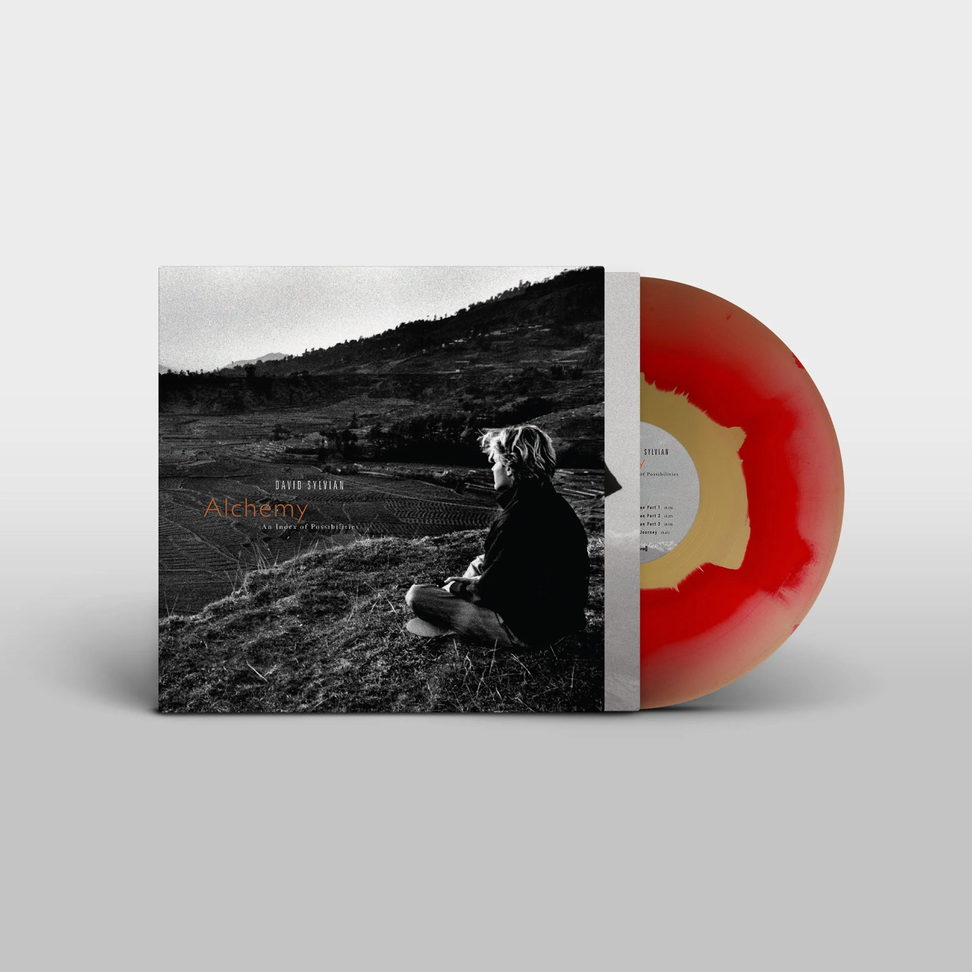 David Sylvian & Jon Hassell - Alchemy: An Index Of Possibilities - Image 2