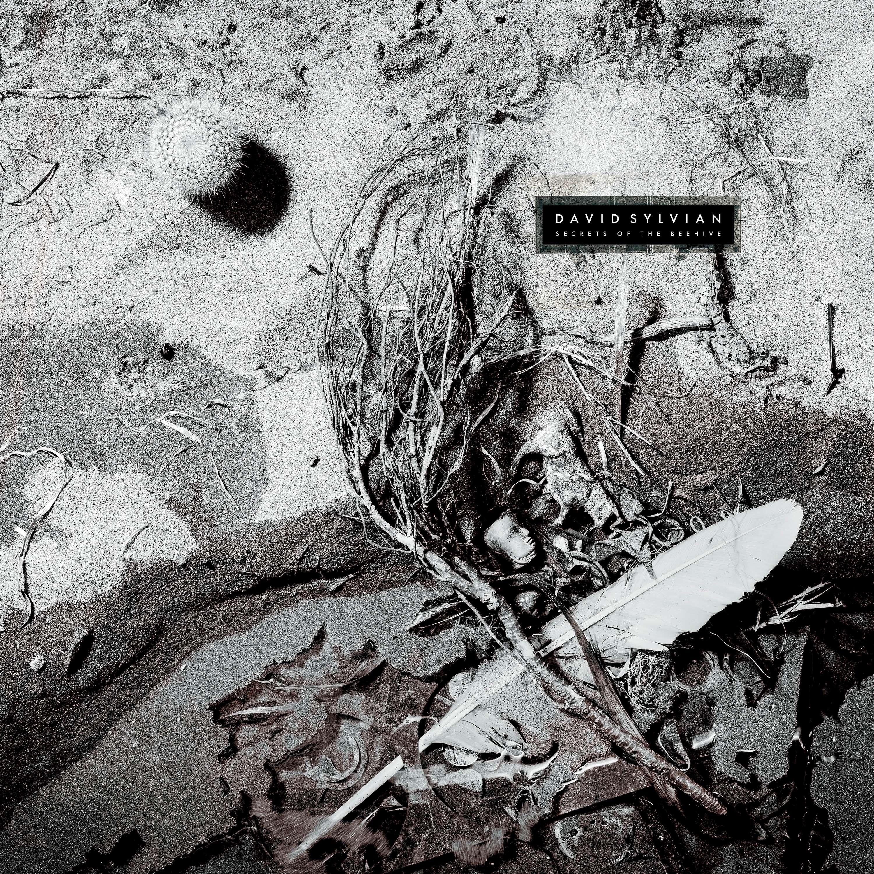 David Sylvian - Secrets Of The Beehive (2025 Reissue)