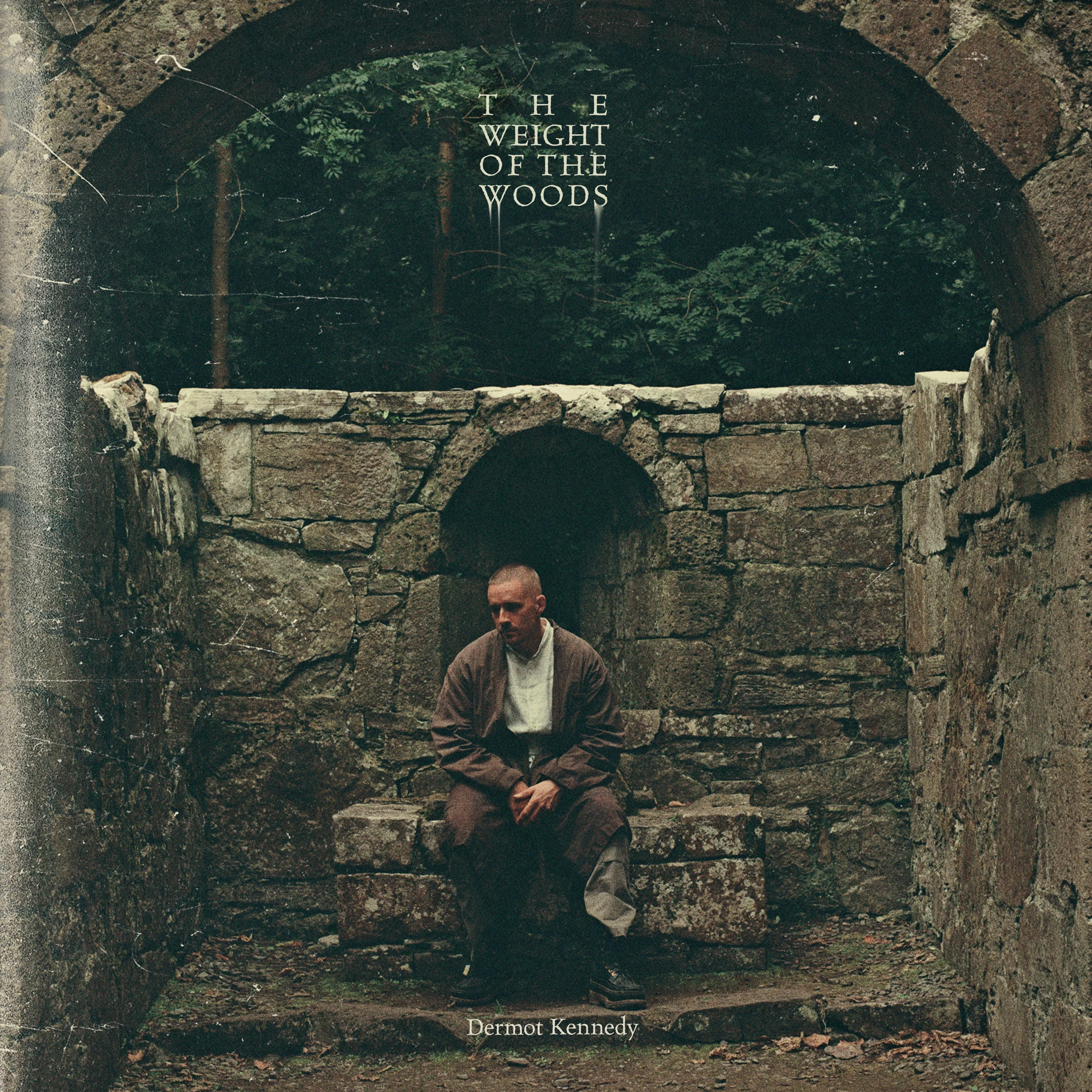 Dermot Kennedy - The Weight of the Woods