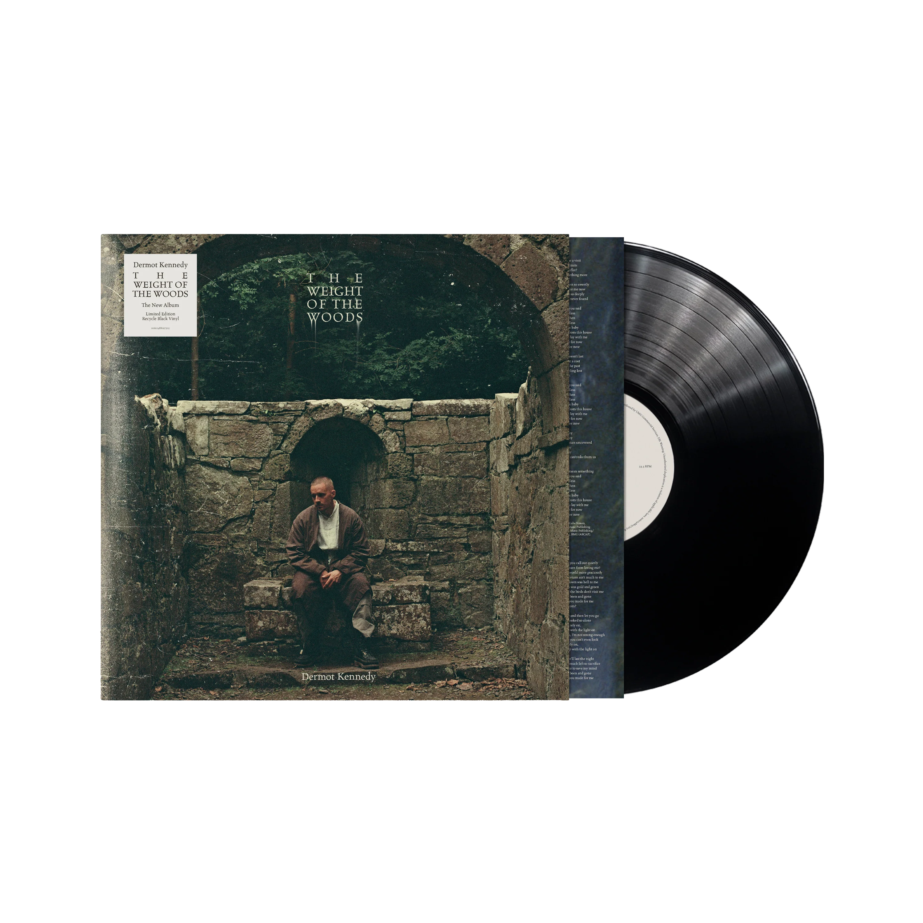 Dermot Kennedy - The Weight of the Woods - Image 3