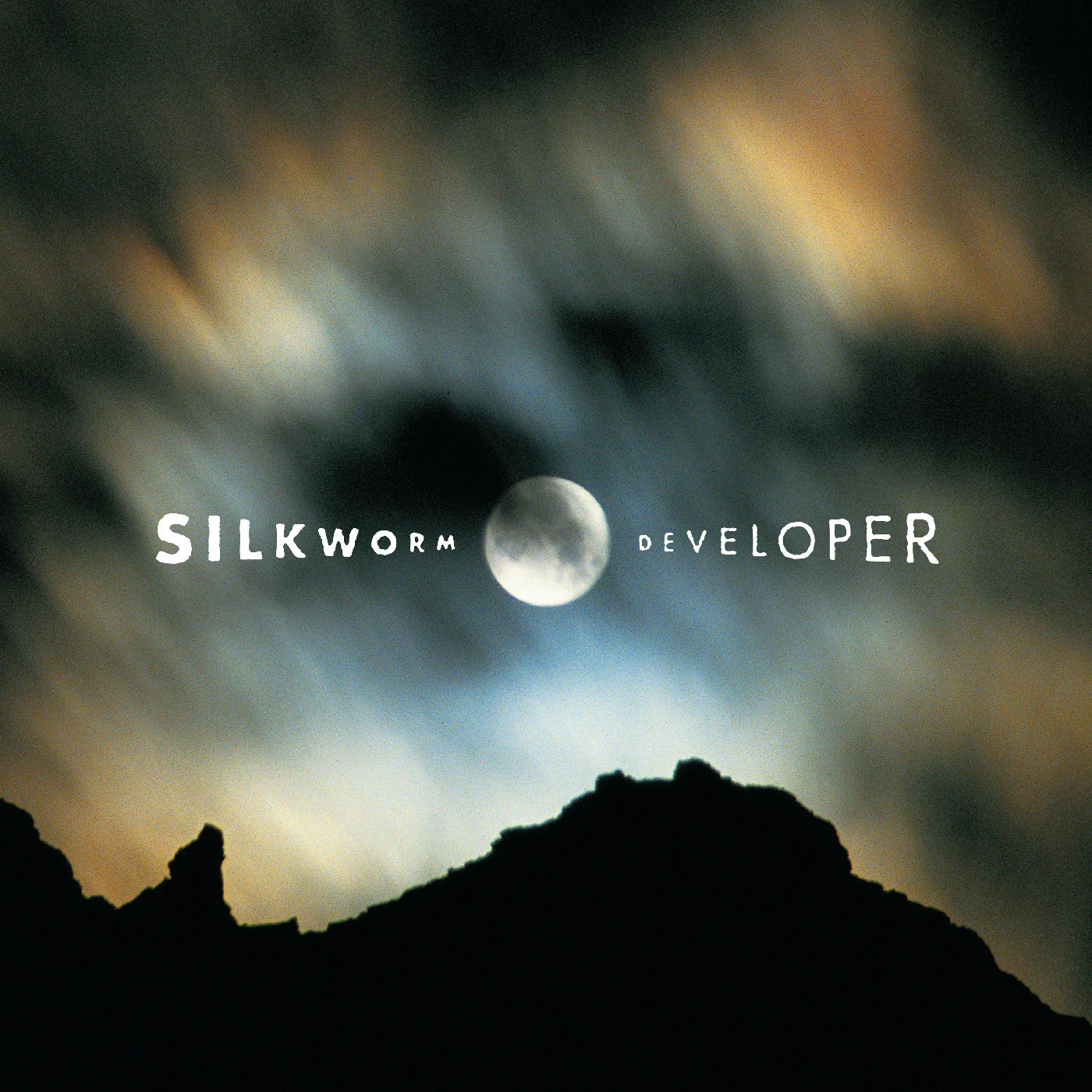 Developer