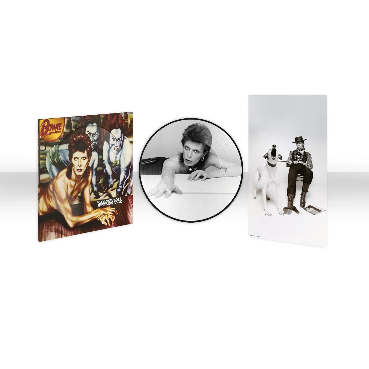Diamond Dogs - Image 2
