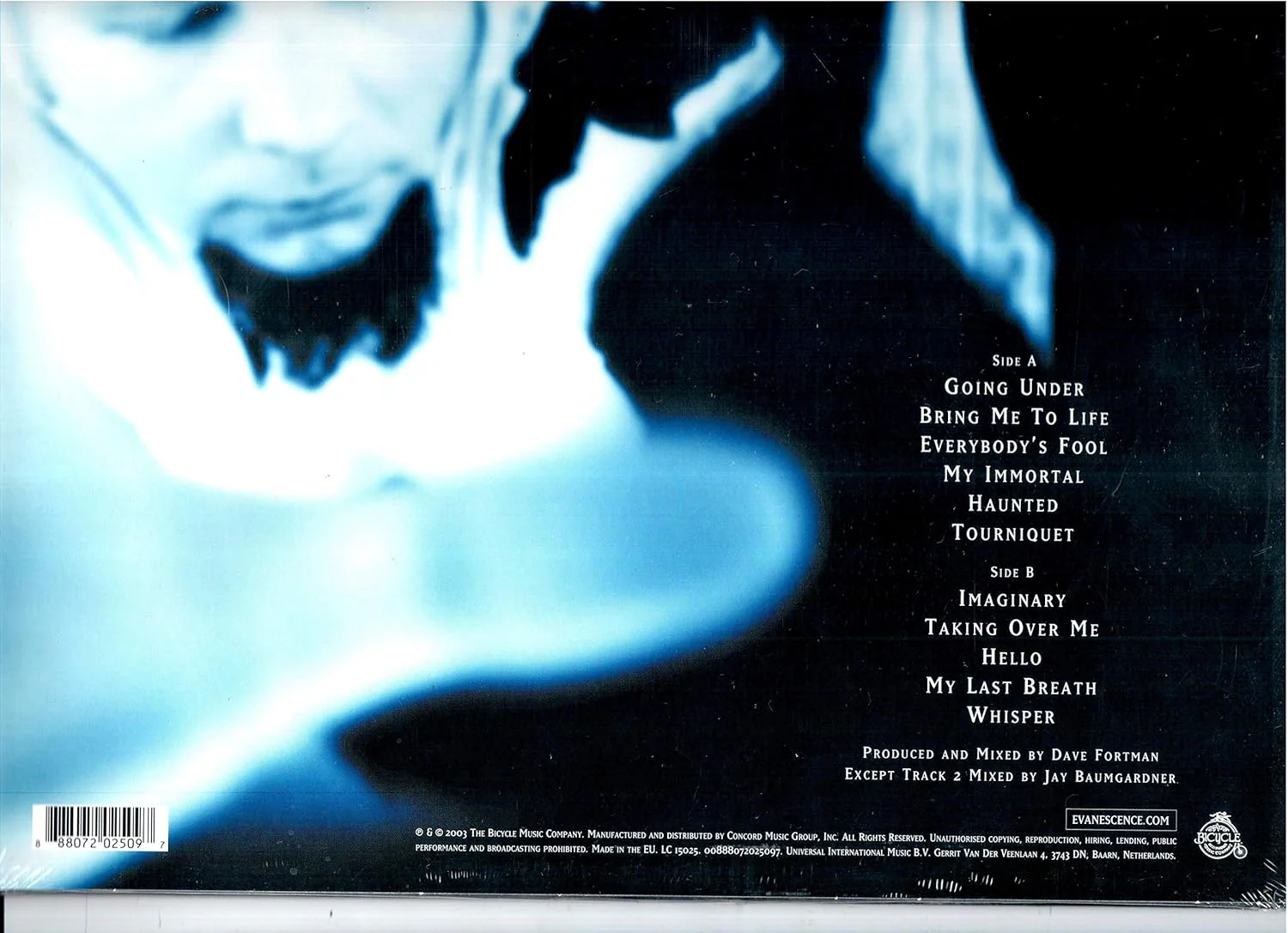 Evanescence - Fallen - Image 2
