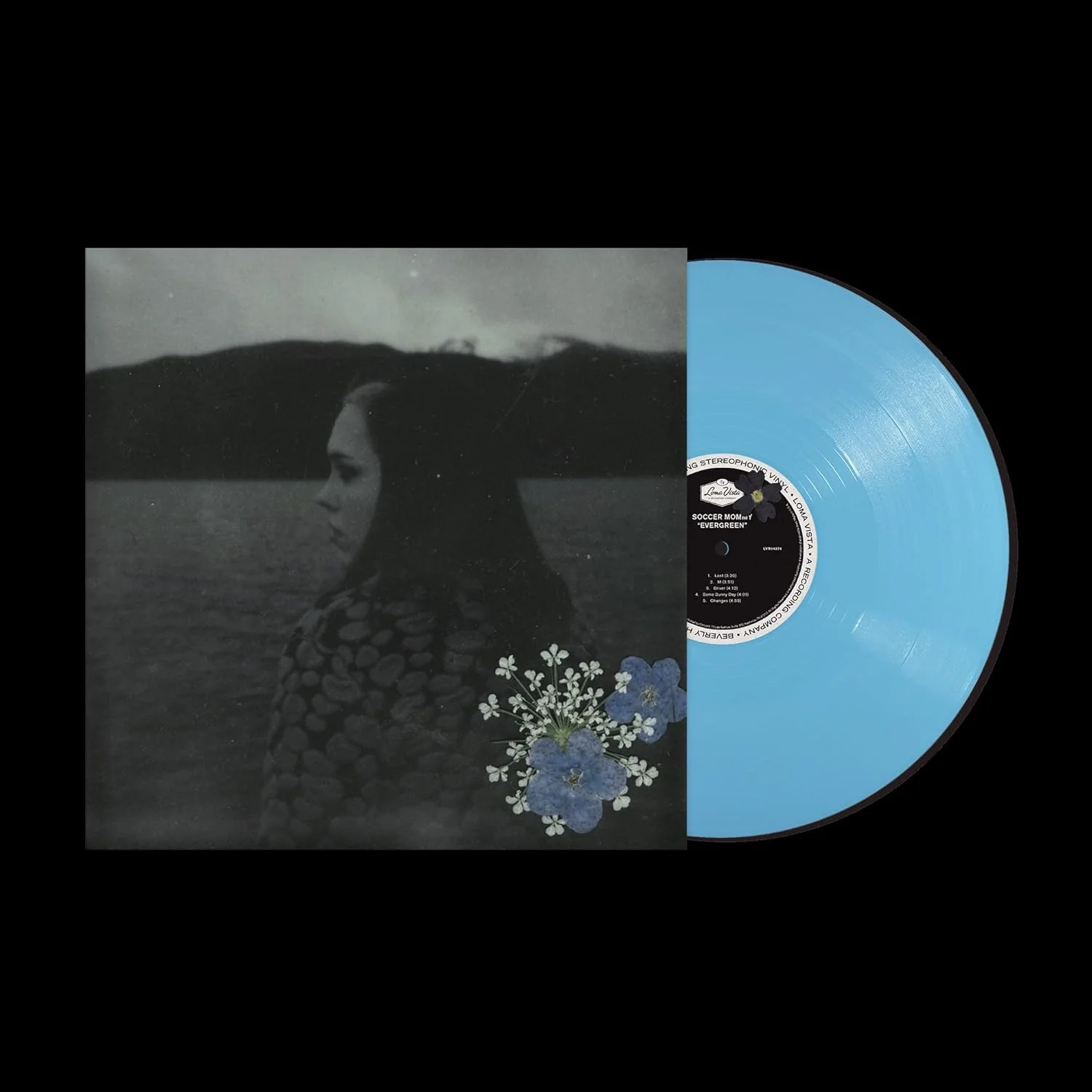 Evergreen - Image 2