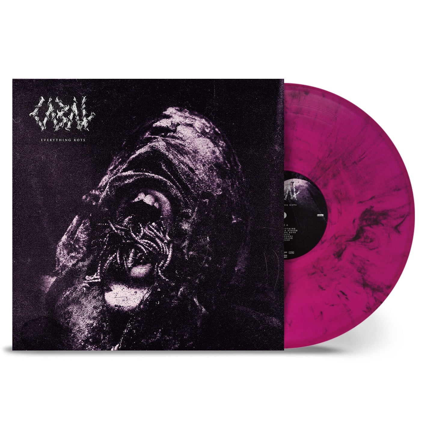 Everything Rots - Image 3