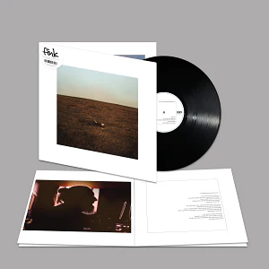 Fink - The City Coming To Erase it All - Image 3