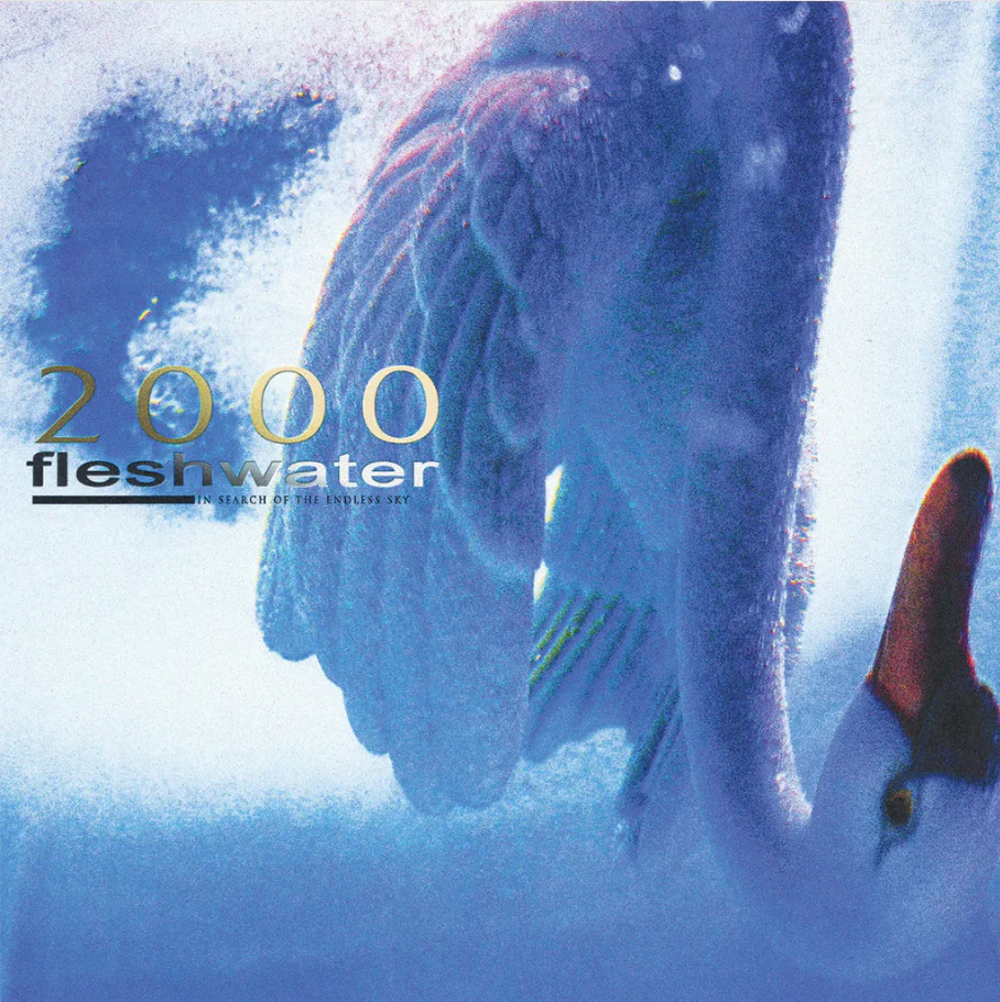 Fleshwater - 2000: In Search of the Endless Sky