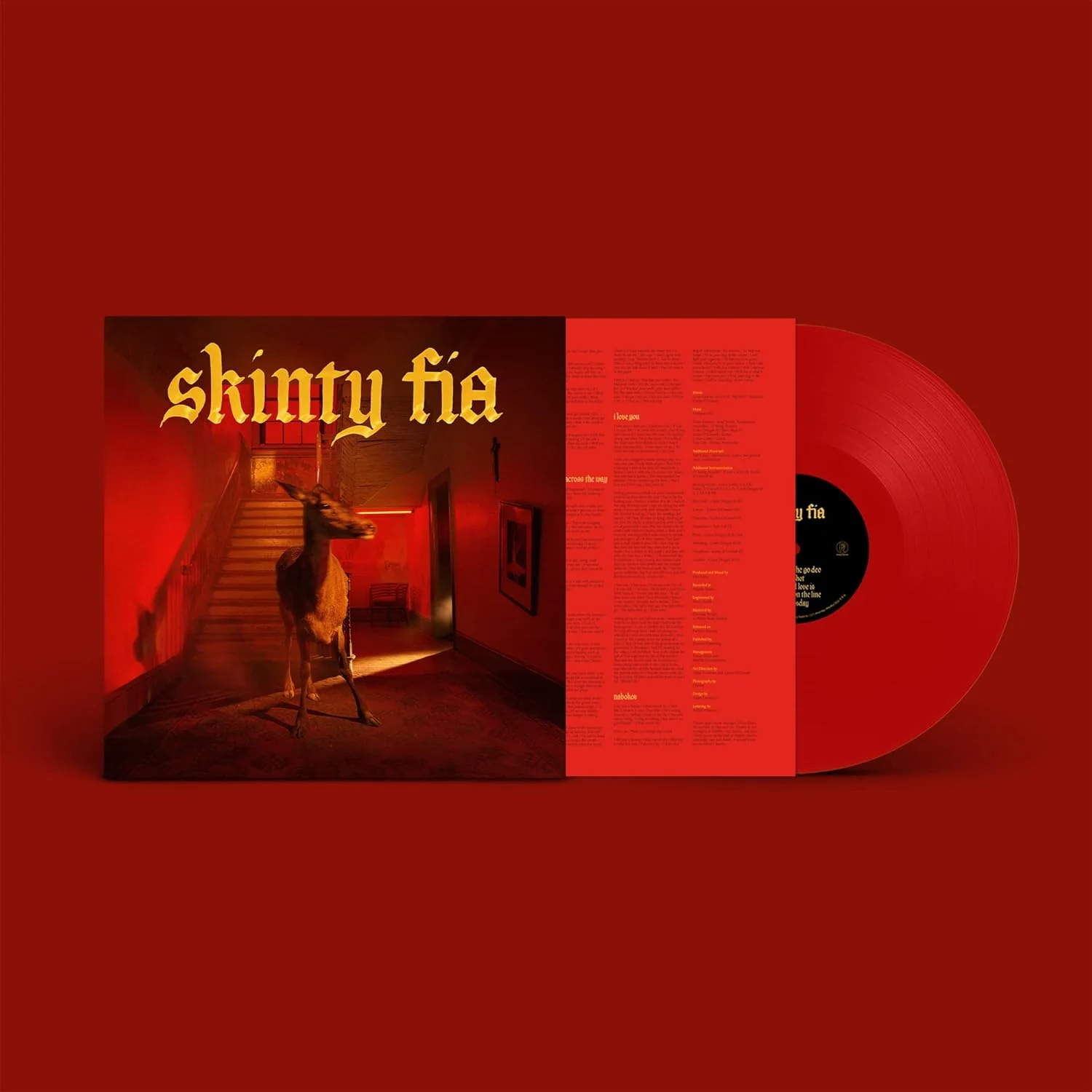 Fontaines D.C. - Skinty Fia - Image 2