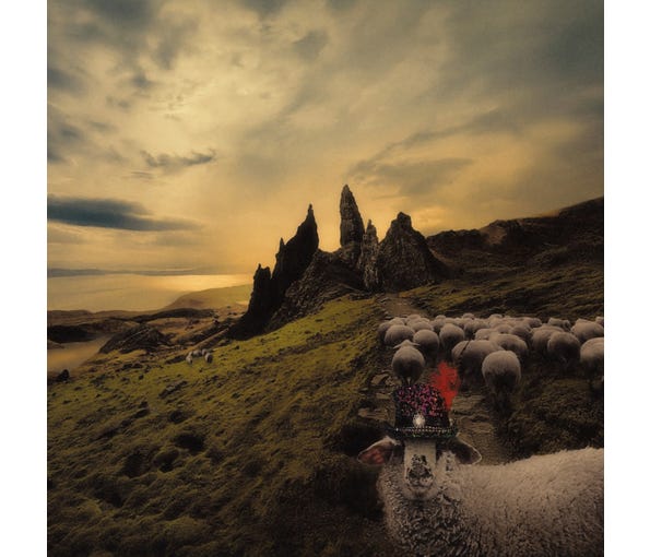 FRANCK CARDUCCI - SHEEPLE