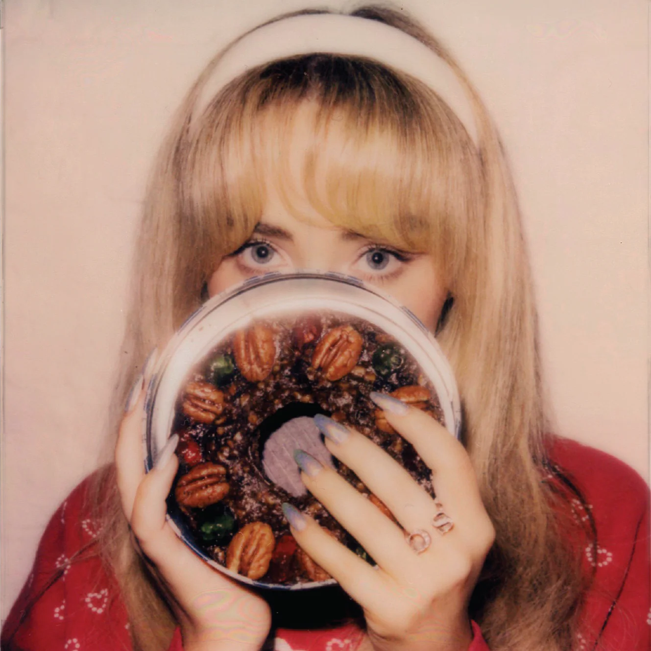 Fruitcake