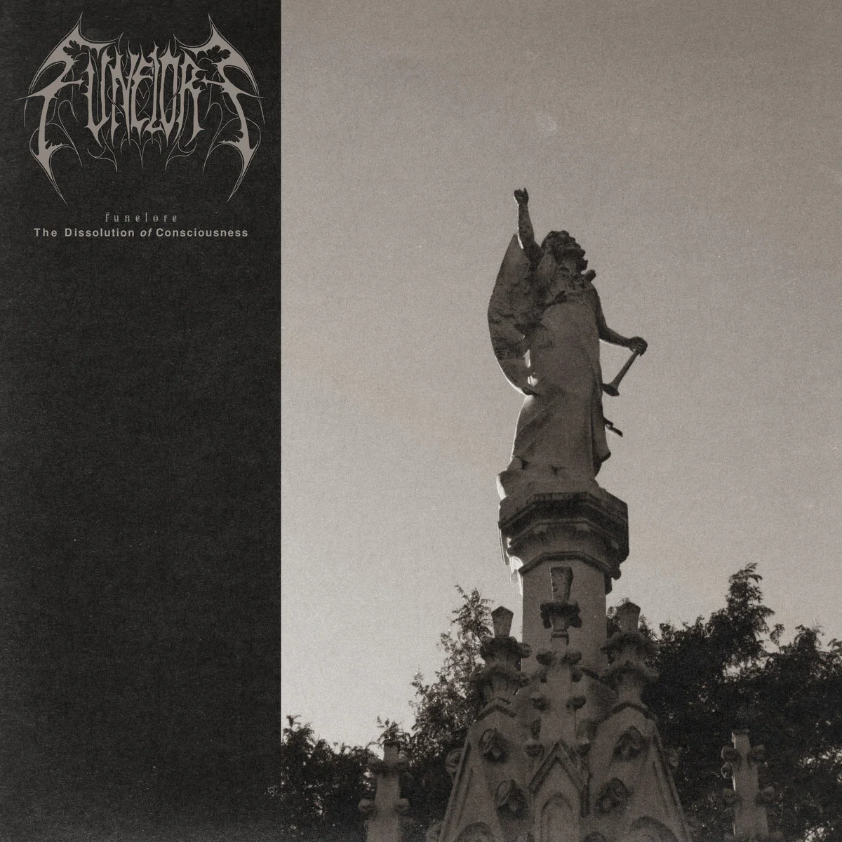 Funelore - The Dissolution Of Consciousness