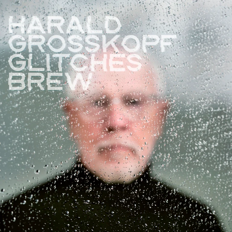 HARALD GROSSKOPF - GLITCHES BREW