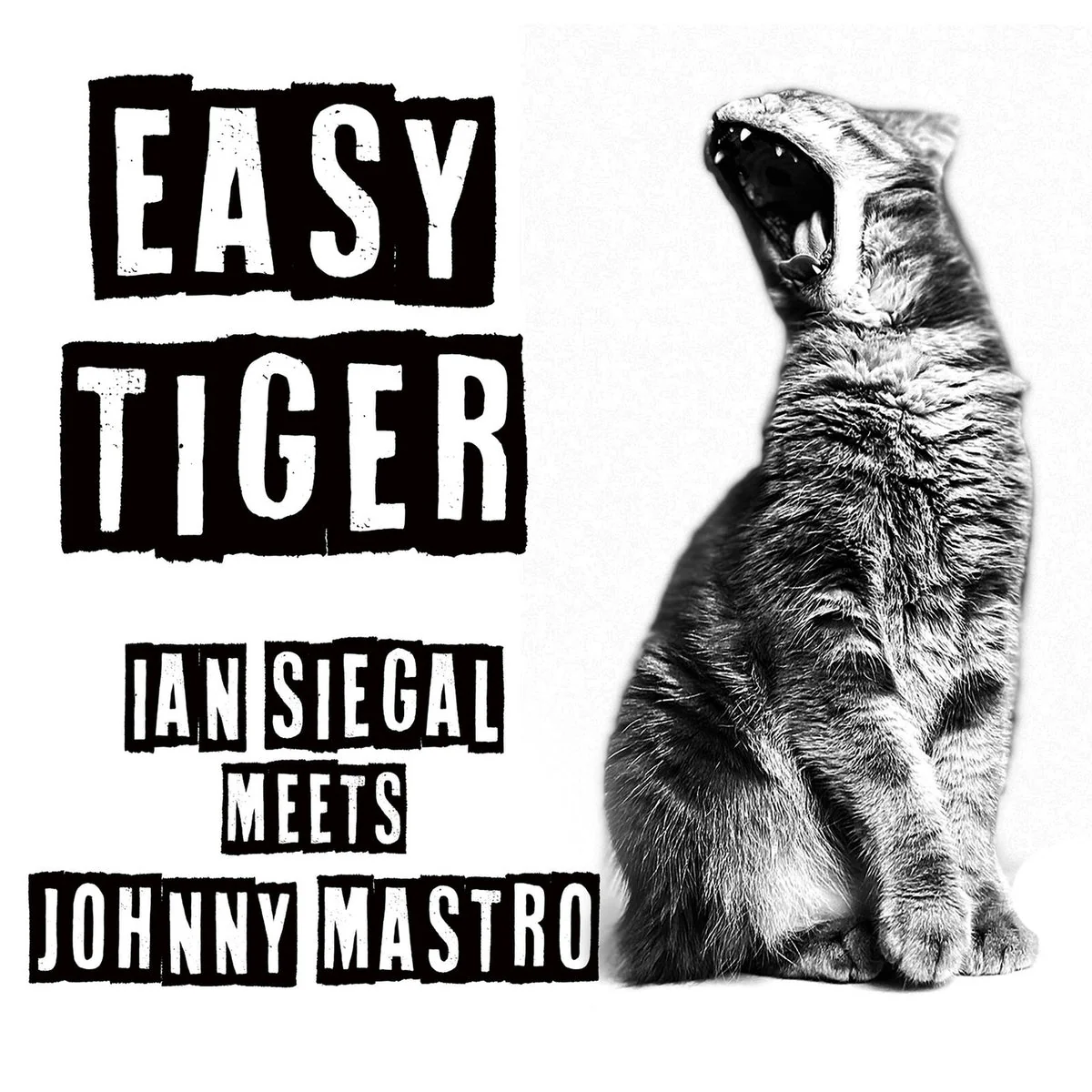 Ian Siegal & Johnny Mastro - Easy Tiger