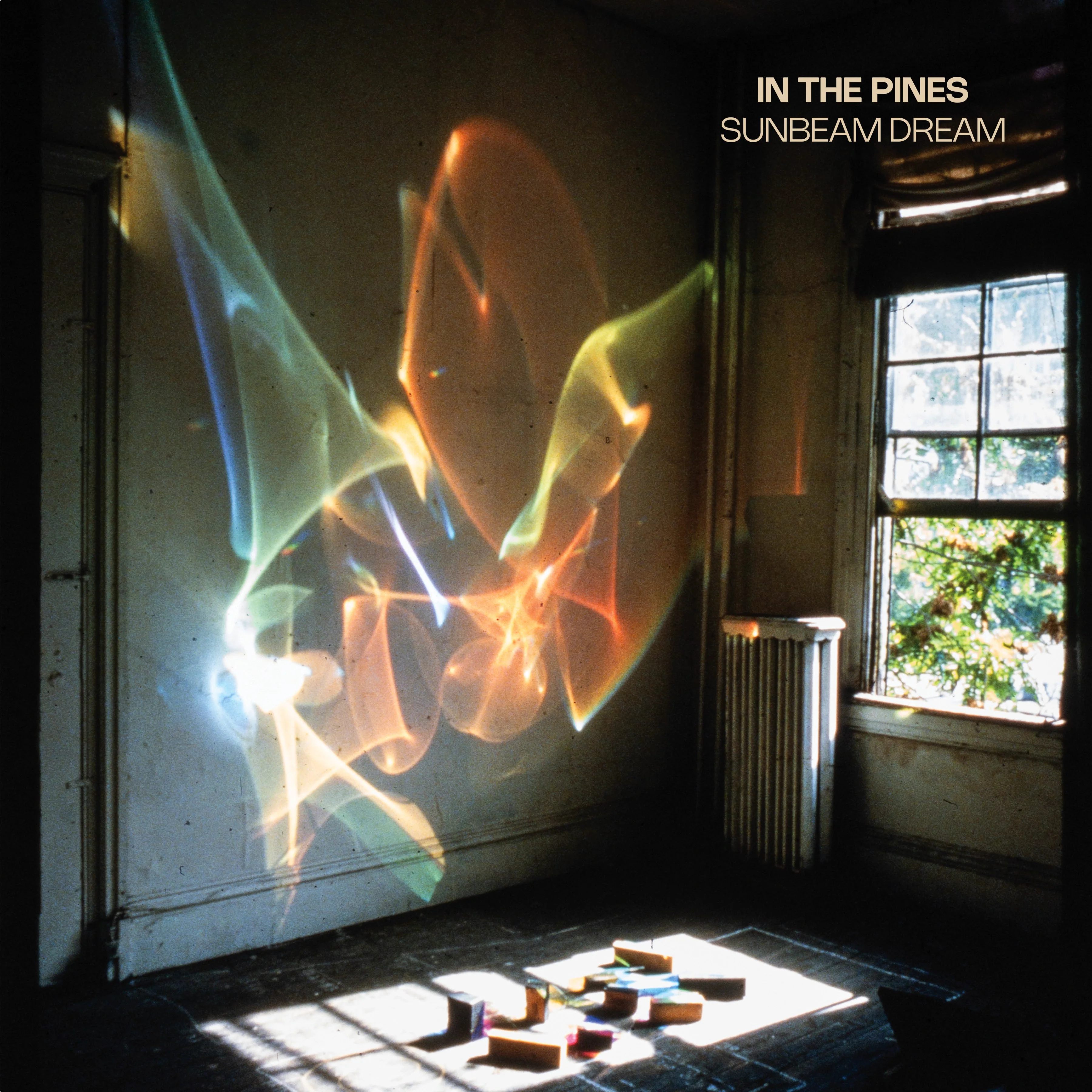 In The Pines - Sunbeam Dream