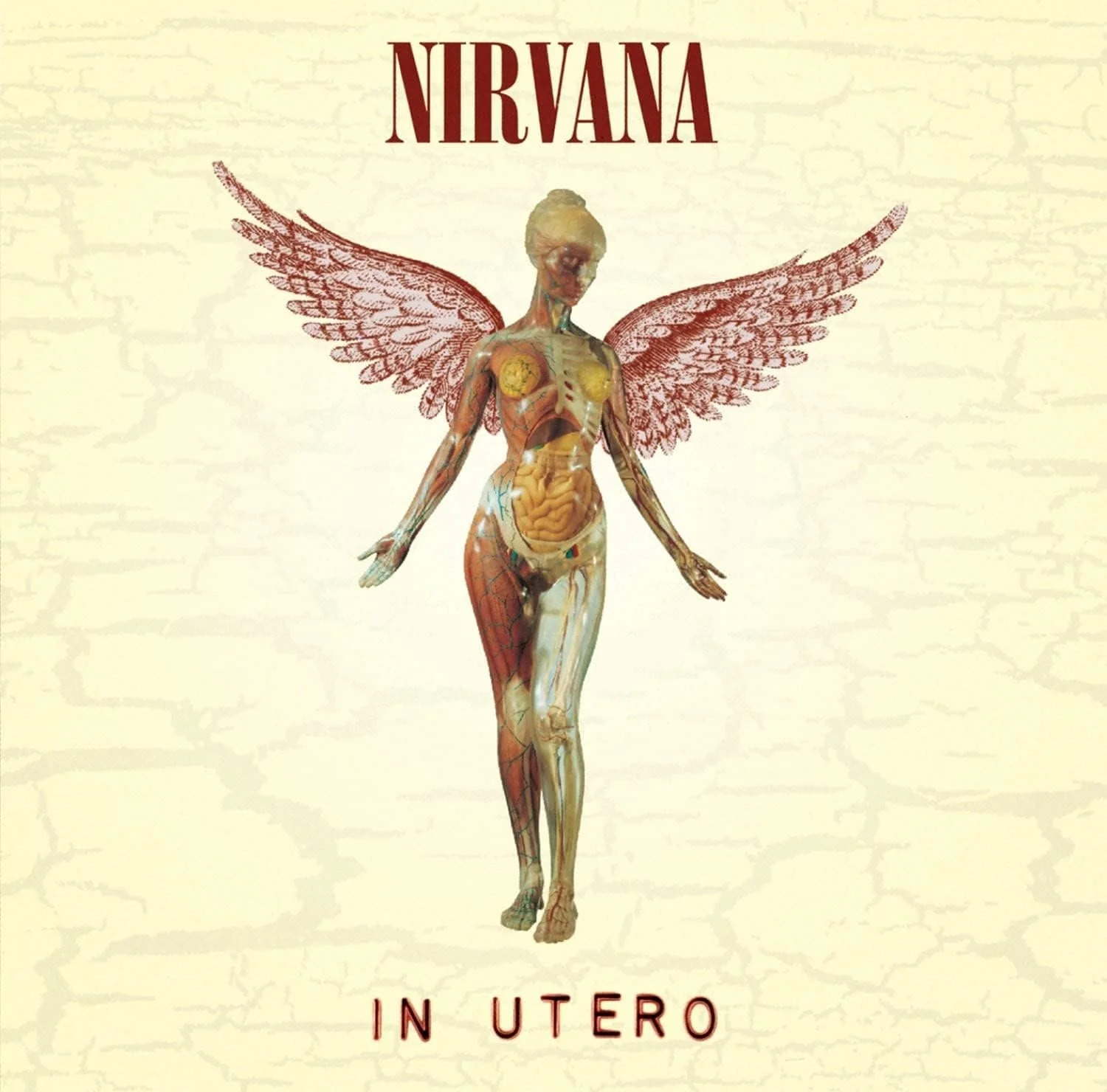 In Utero - Image 2