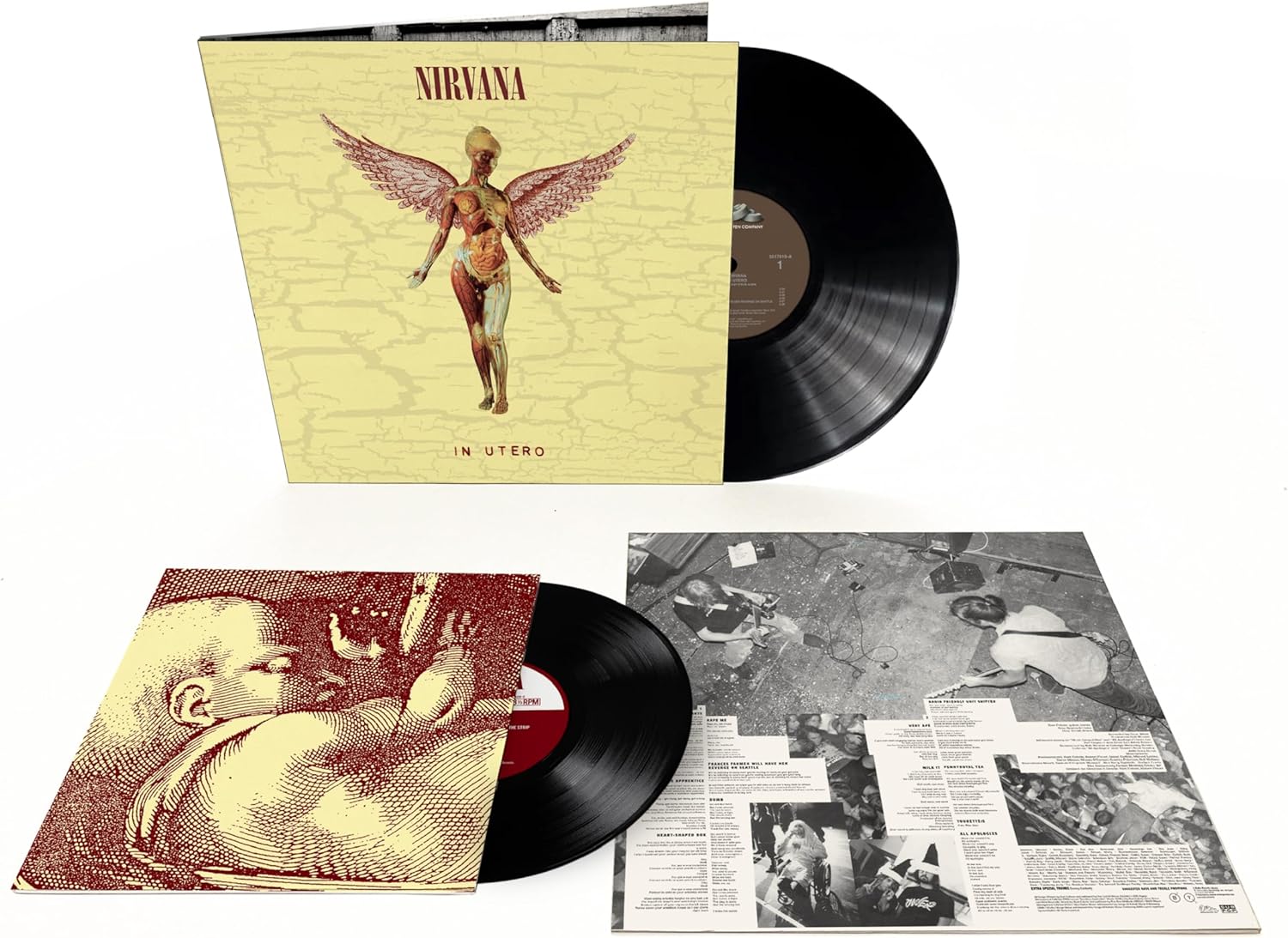 In Utero - Image 4