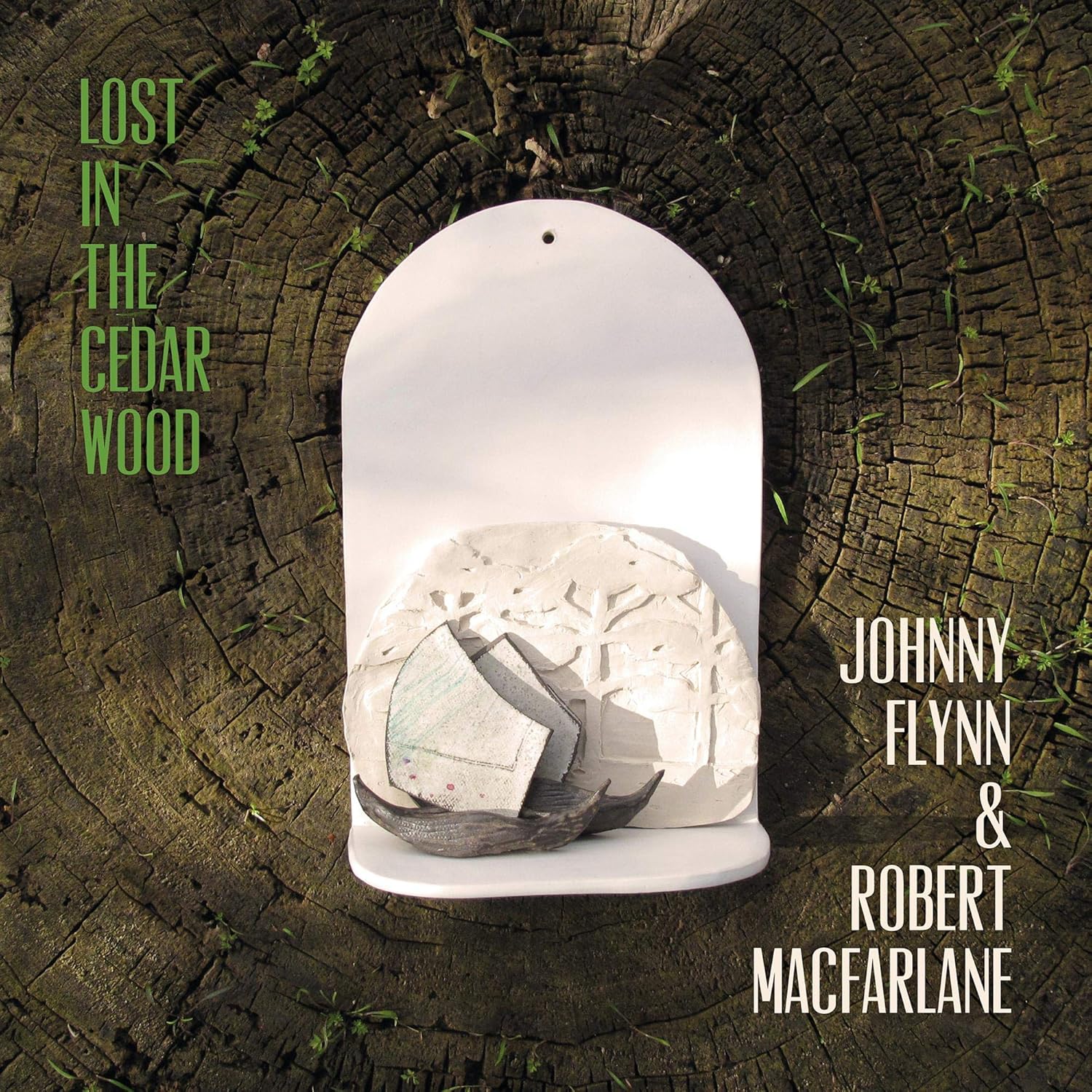 Johnny Flynn - Lost in the Cedar Wood