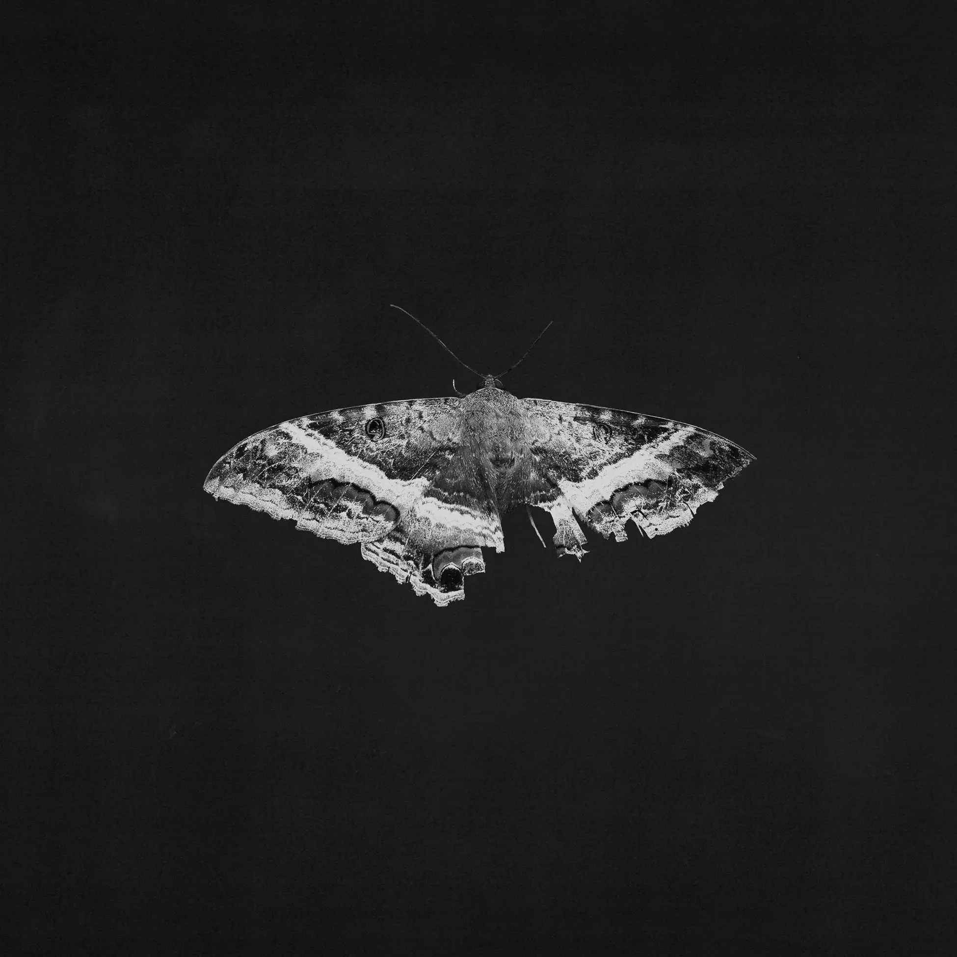 Kendrick Lamar - To Pimp a Butterfly (10th Anniversary Edition)