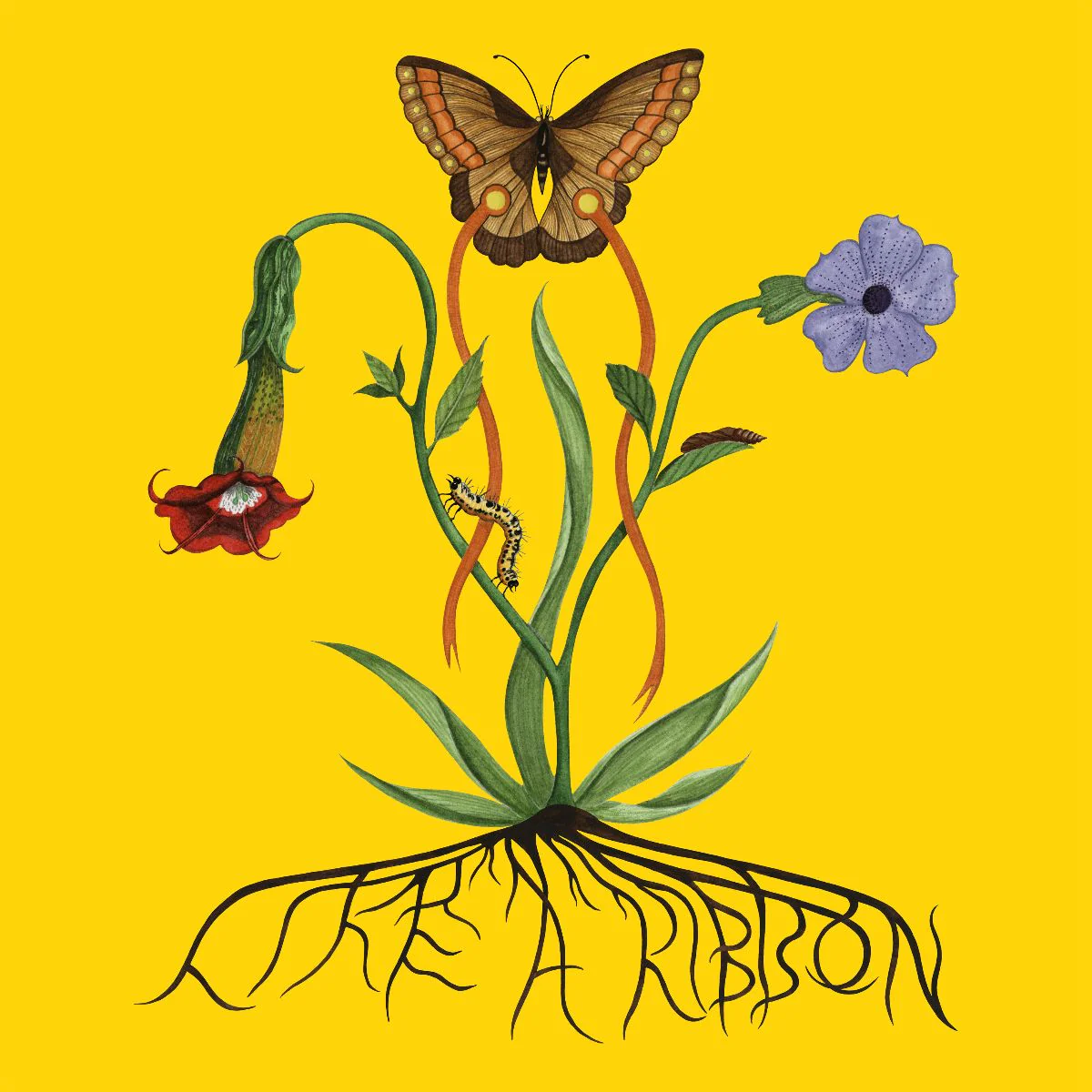 Like A Ribbon (Three EPs)