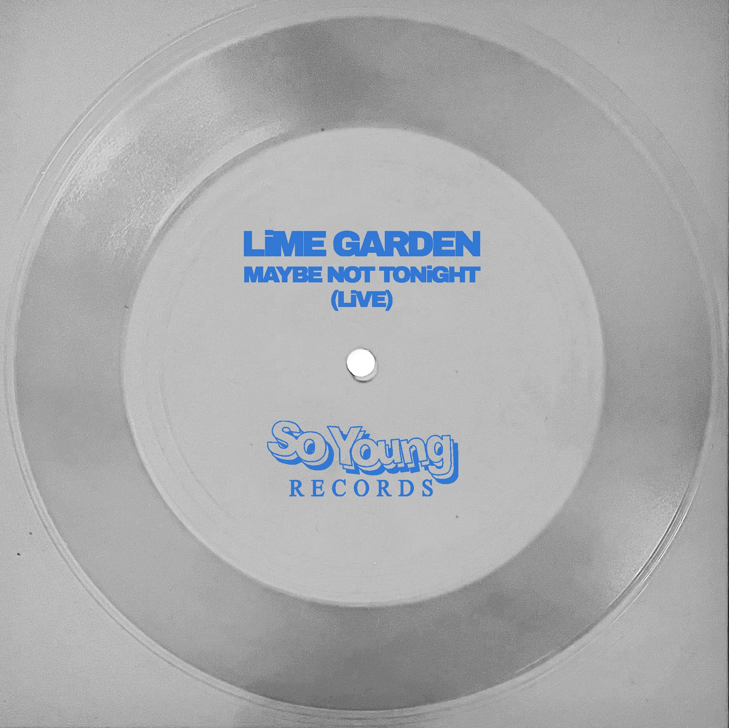 Lime Garden - Maybe Not Tonight - Image 2