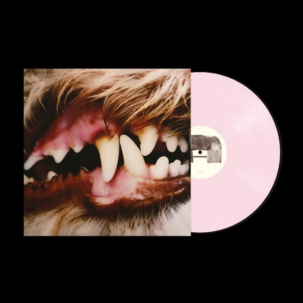 Lucius - Image 2