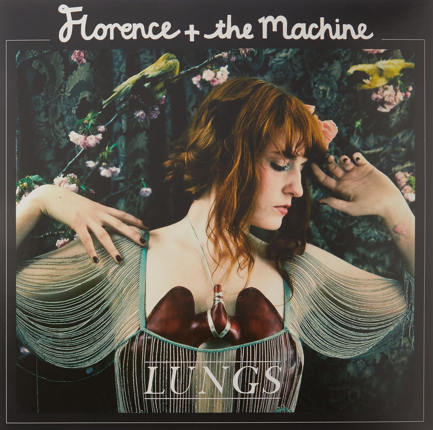 Lungs