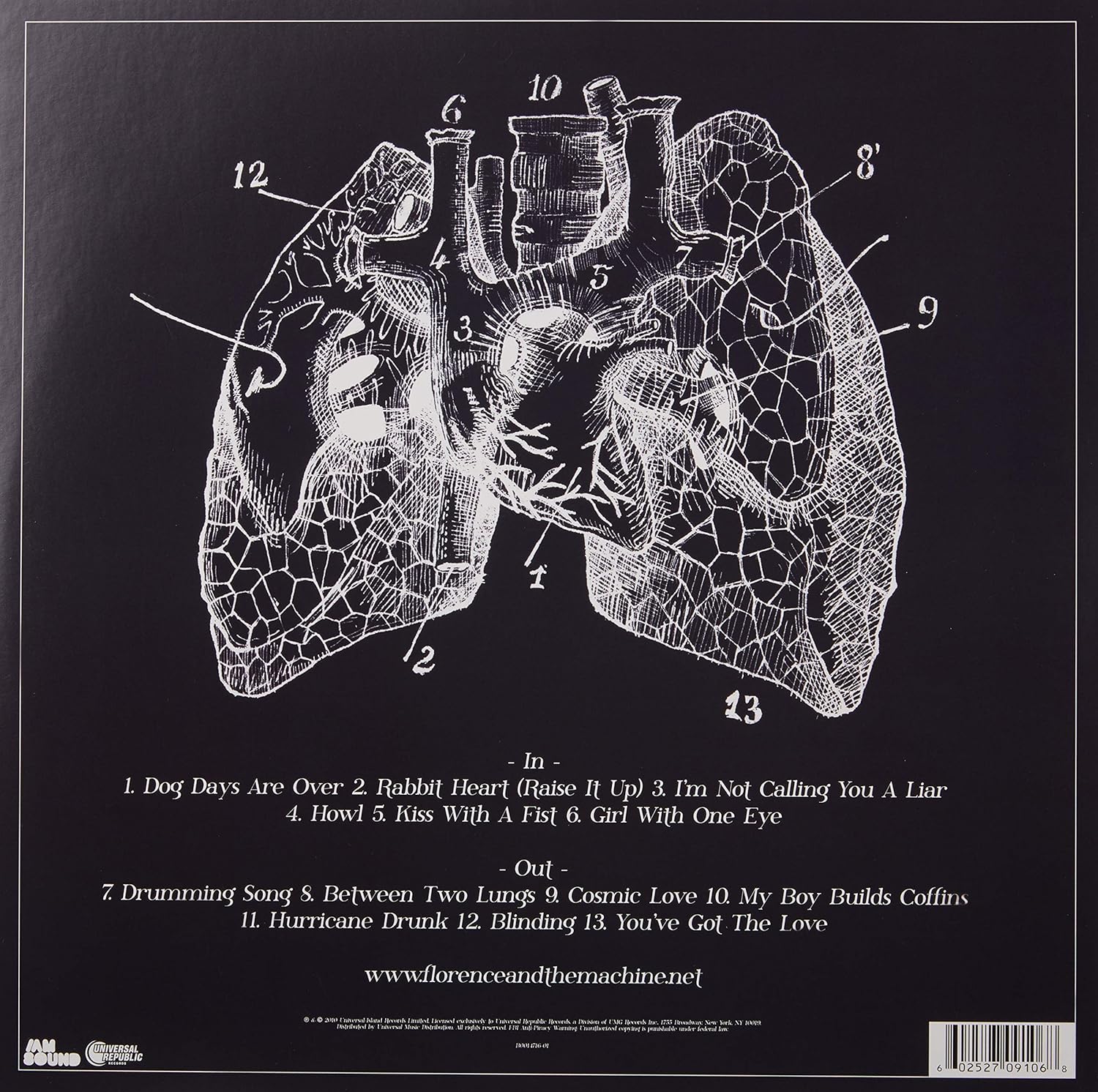 Lungs - Image 2