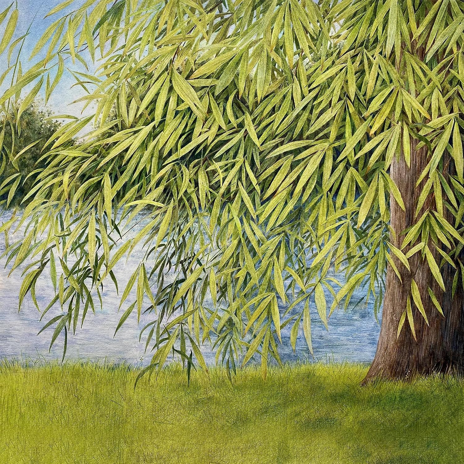 Martin Simpson & Thomm Jutz - Nothing But Green Willow