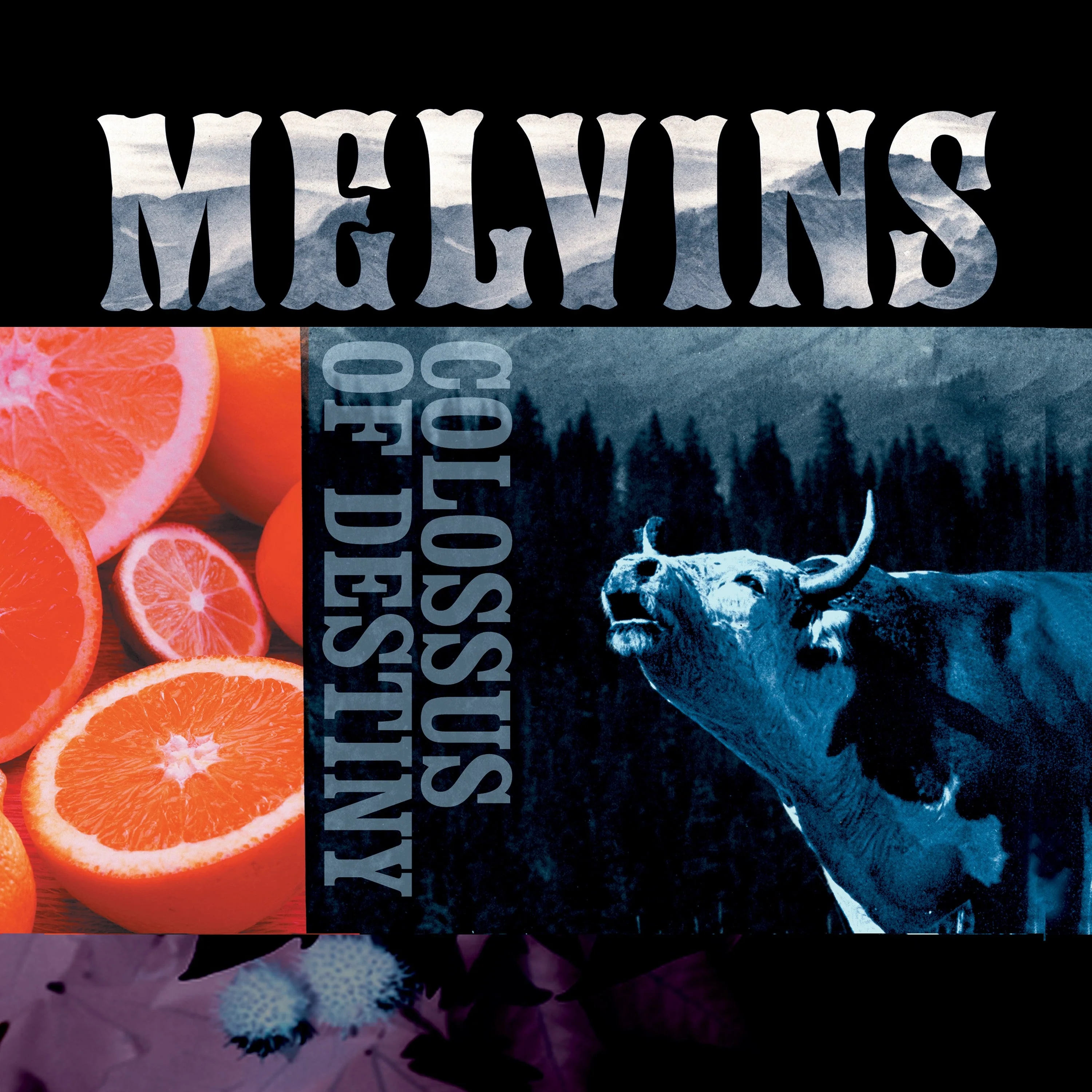 Melvins - Colossus Of Destiny (2025 Reissue)