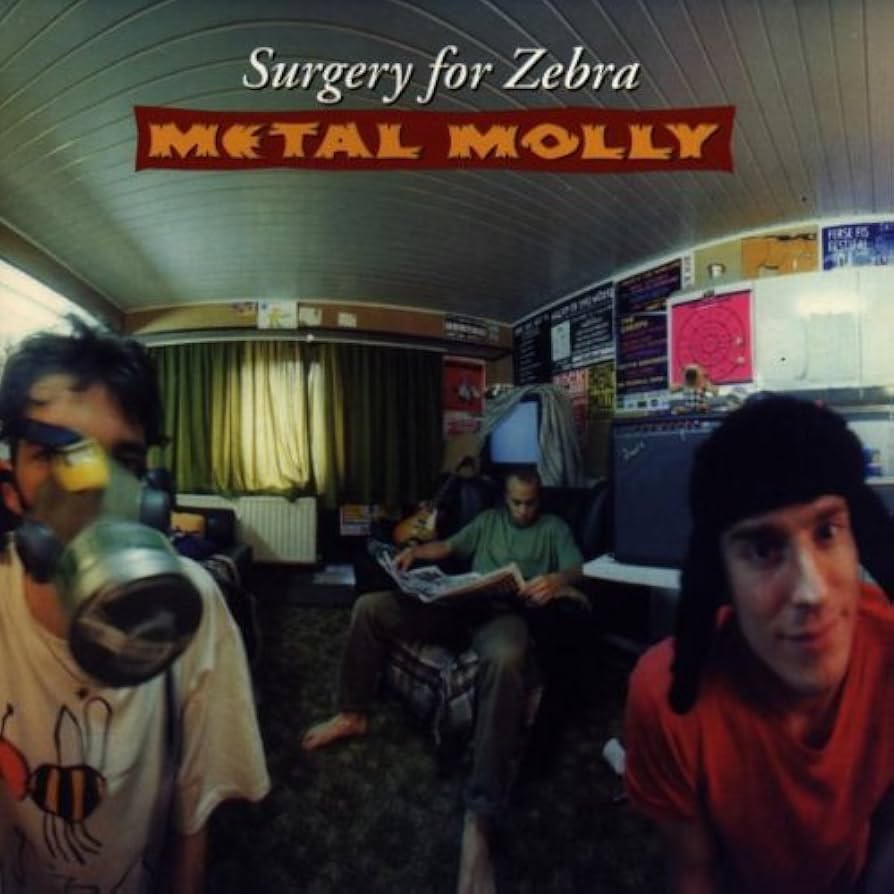 Metal Molly - Surgery For Zebra