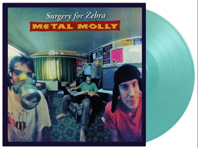 Metal Molly - Surgery For Zebra - Image 2