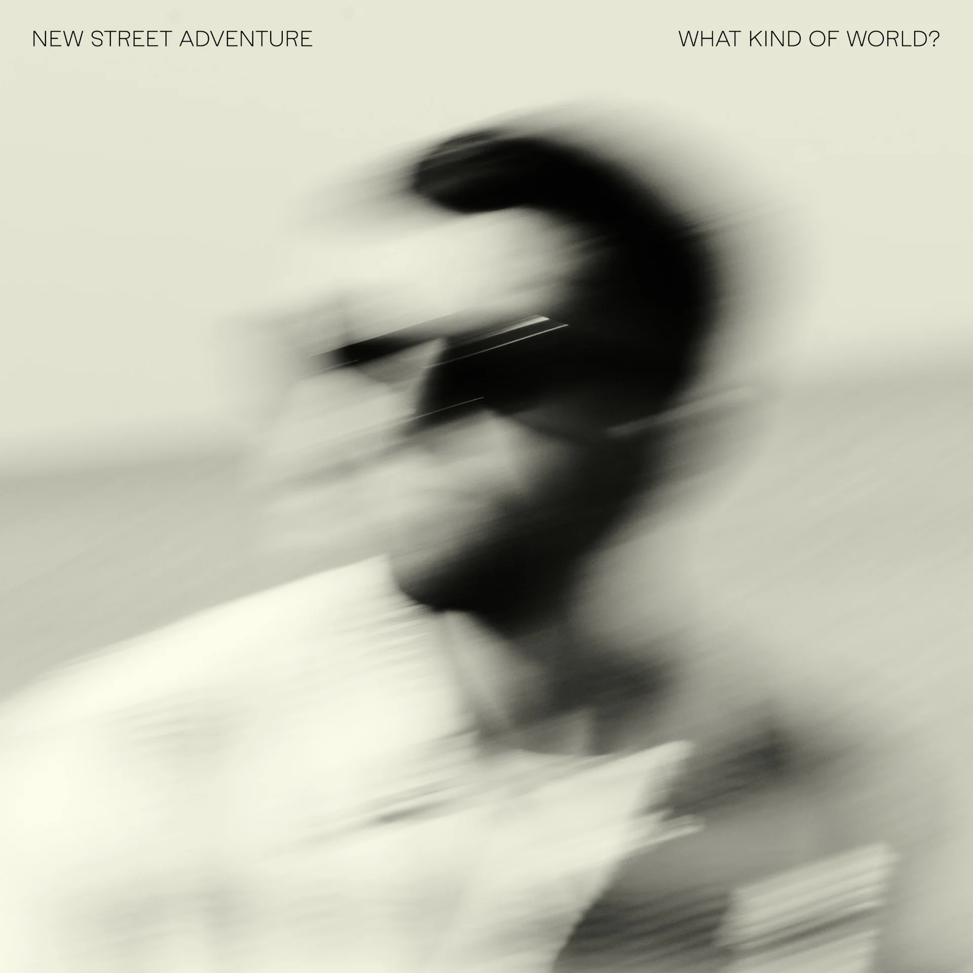 New Street Adventure - What Kind Of World?