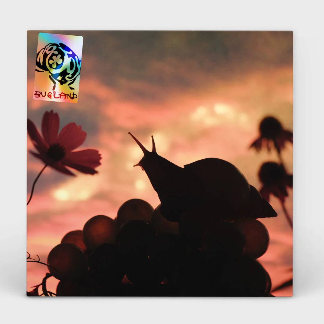 No Joy - Bugland