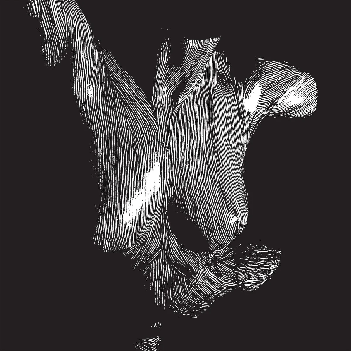 Oceansize - Self Preserved While The Bodies Float Up (15th Anniversary Edition) (NAD 2025) - Image 2
